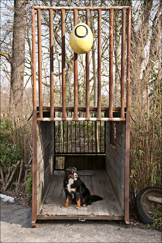 Transport cage at Hannover