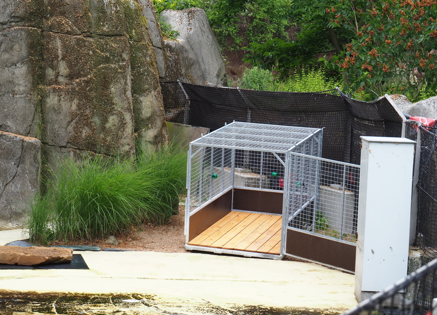 Transport cage for upcoming transfer California sea lions, 2021-06-12