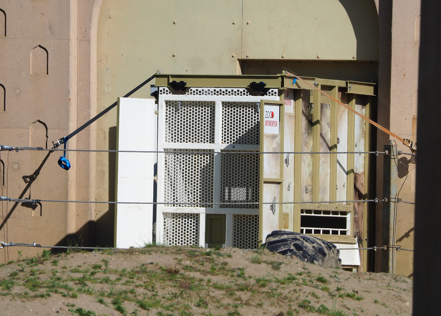 Transport crate for bull elephant Kanvar, 2022-06-15