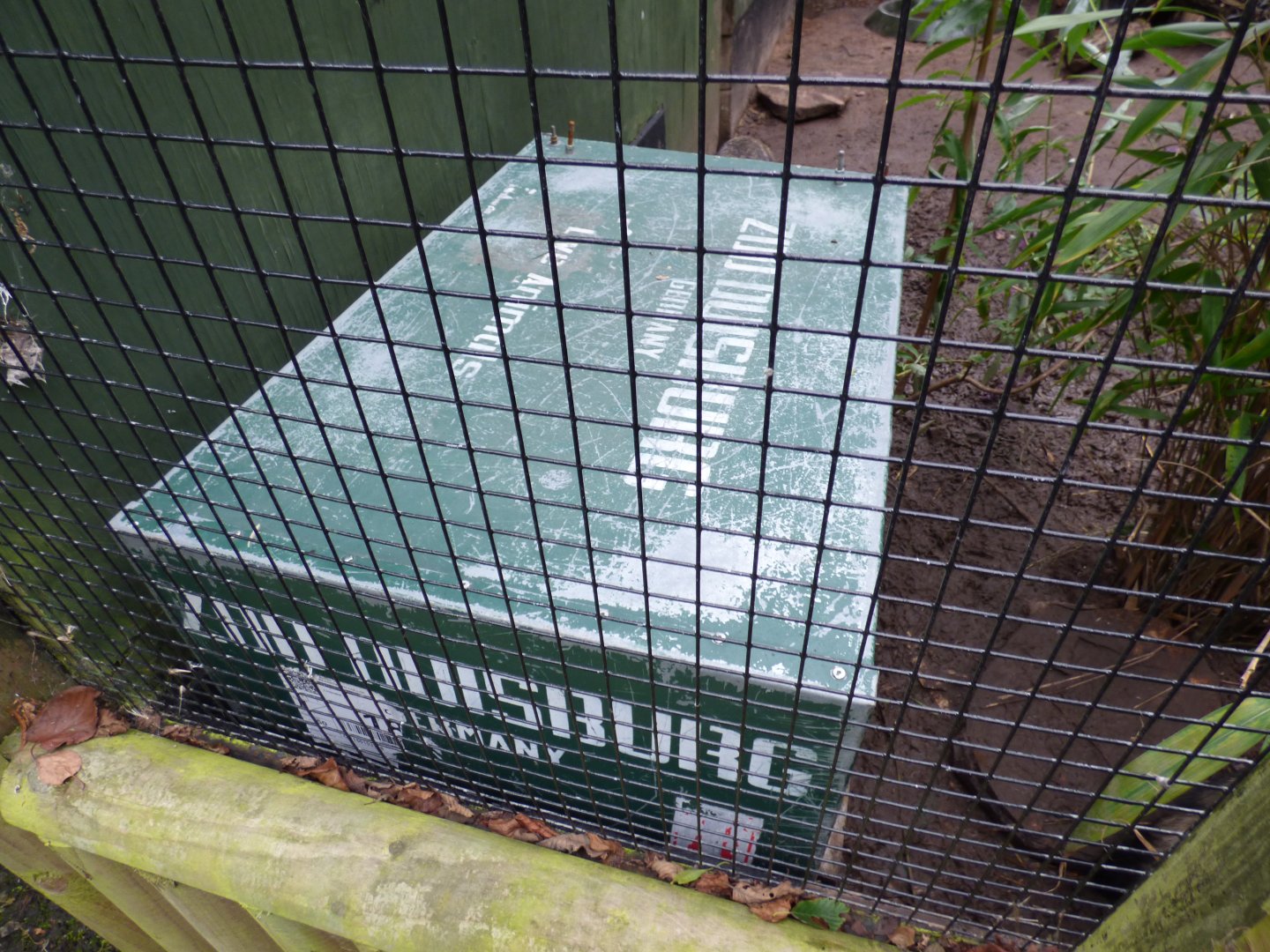 Transport Crate in Racoon Dog Enclosure