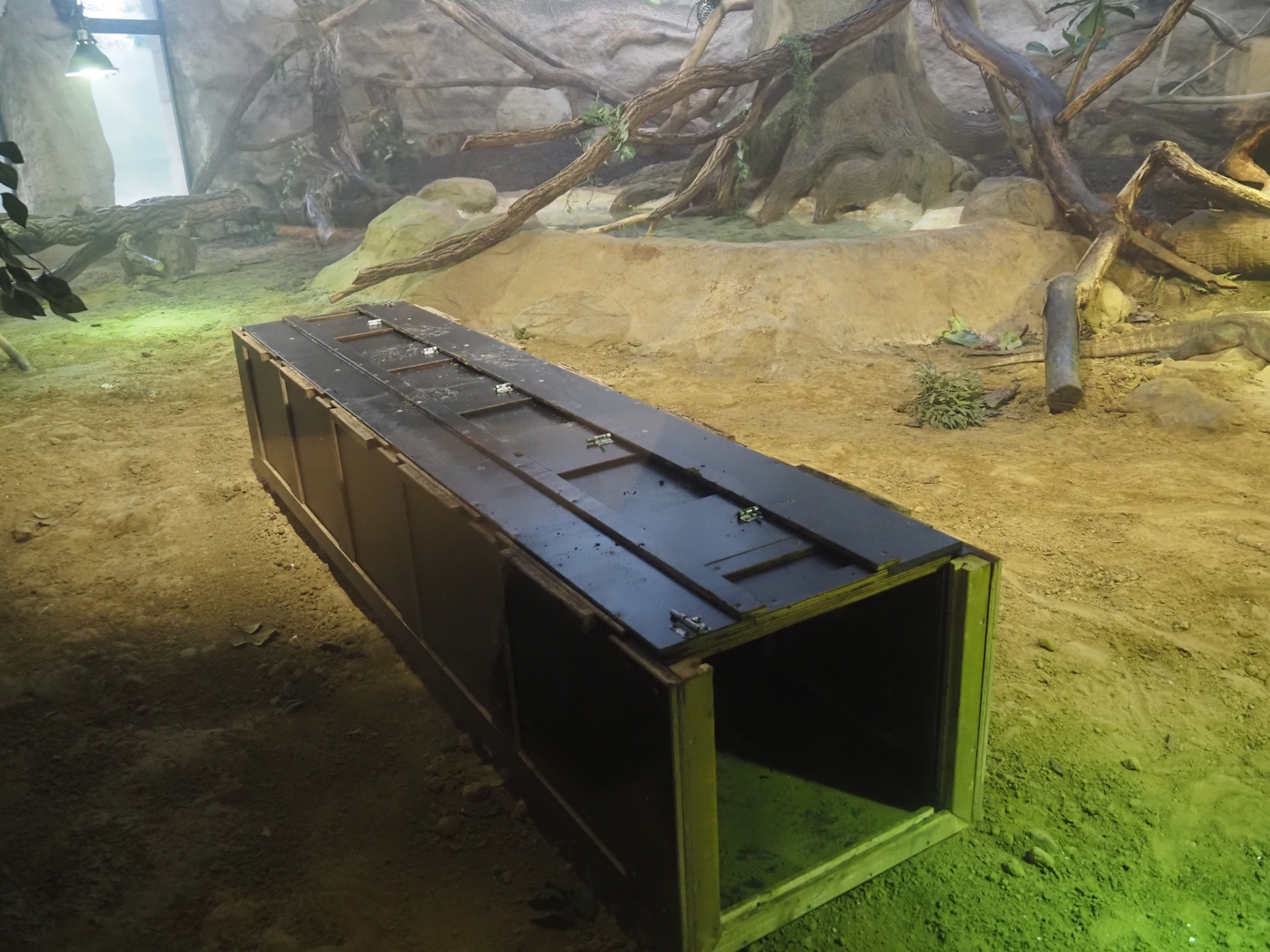 Transport crate in the Komodo dragon exhibit, 2025-01-04
