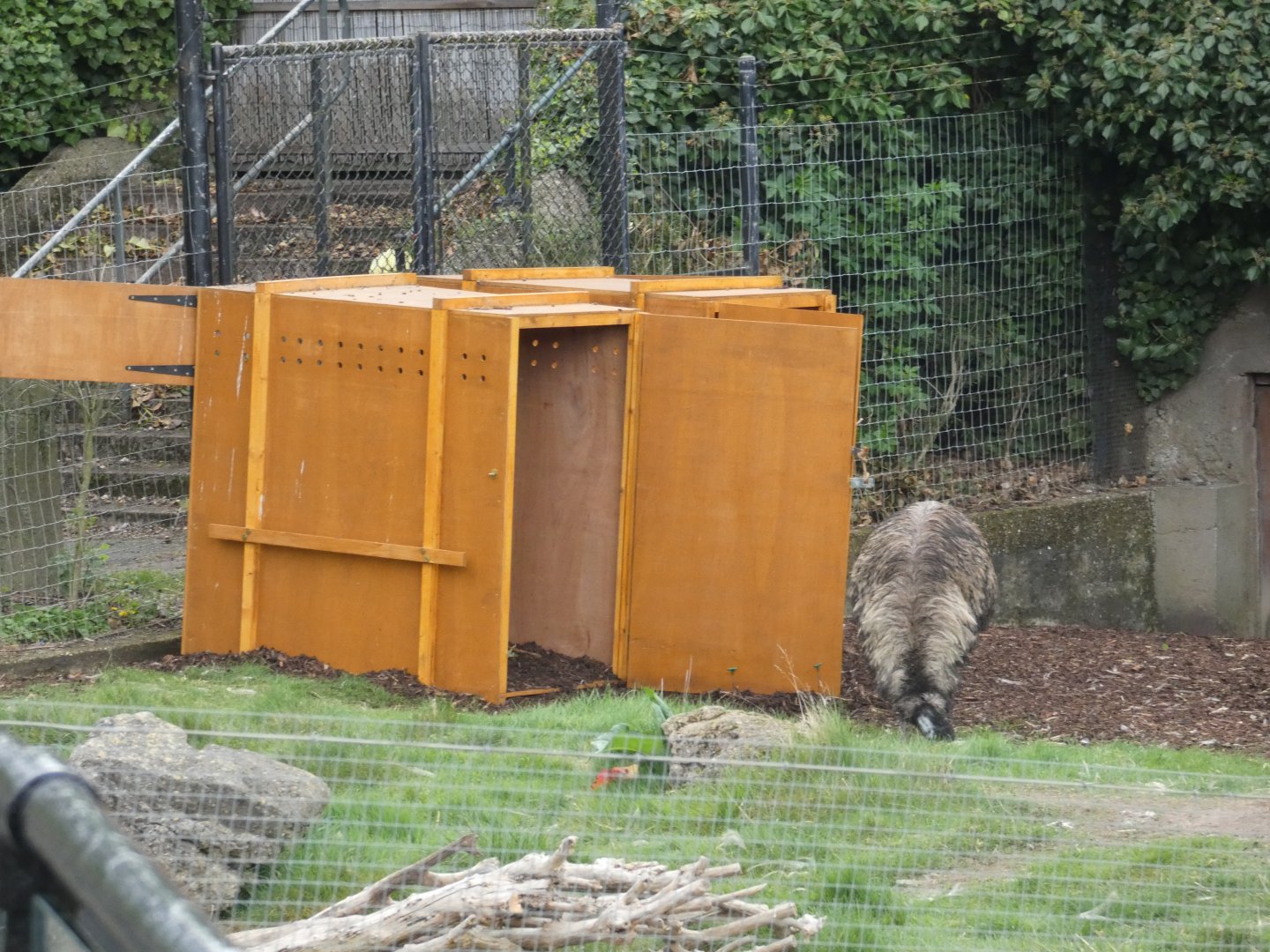 Transport crates in Emu enclosure