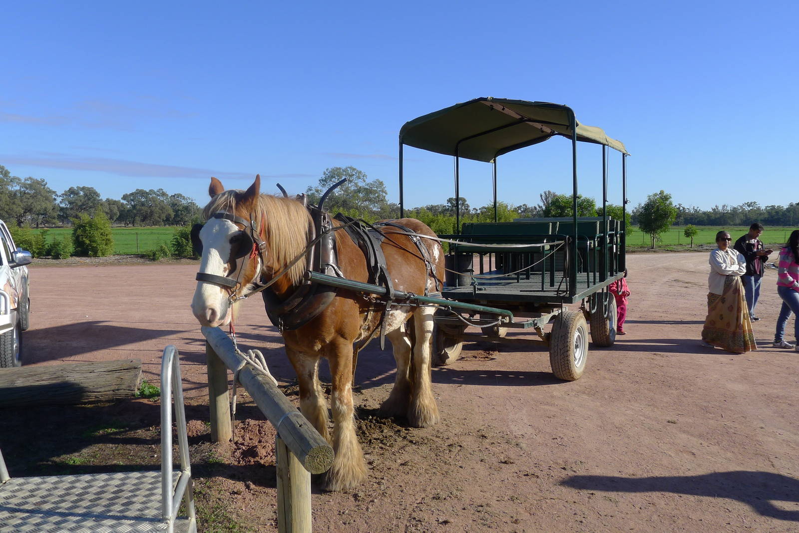 Transport for the tour