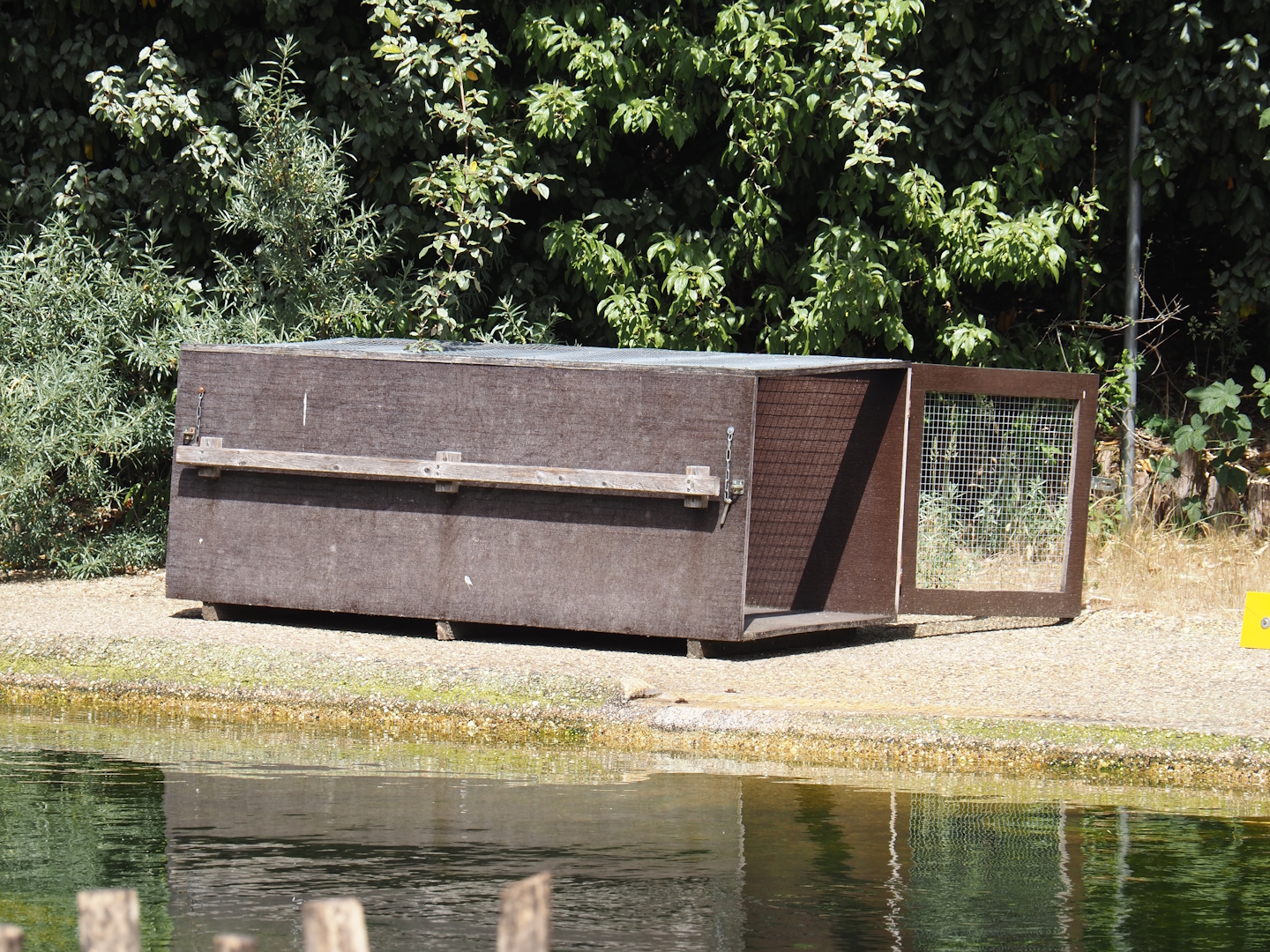 Transport or training crate in the Eastern Atlantic harbor seal exhibit, 2025-05-22