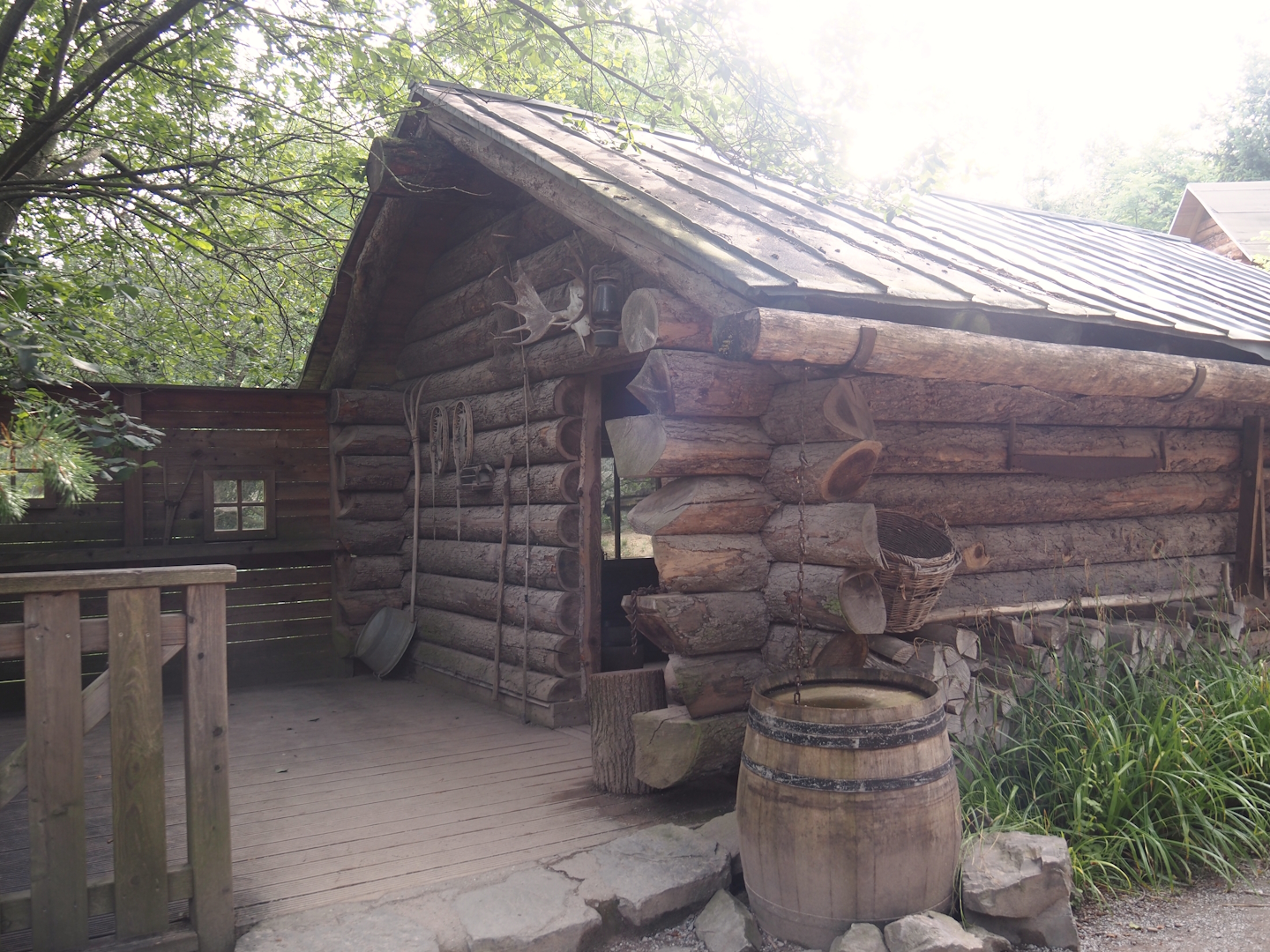 Trapper Creek Hut - Eurasian lynx viewing cabin, 2024-08-05