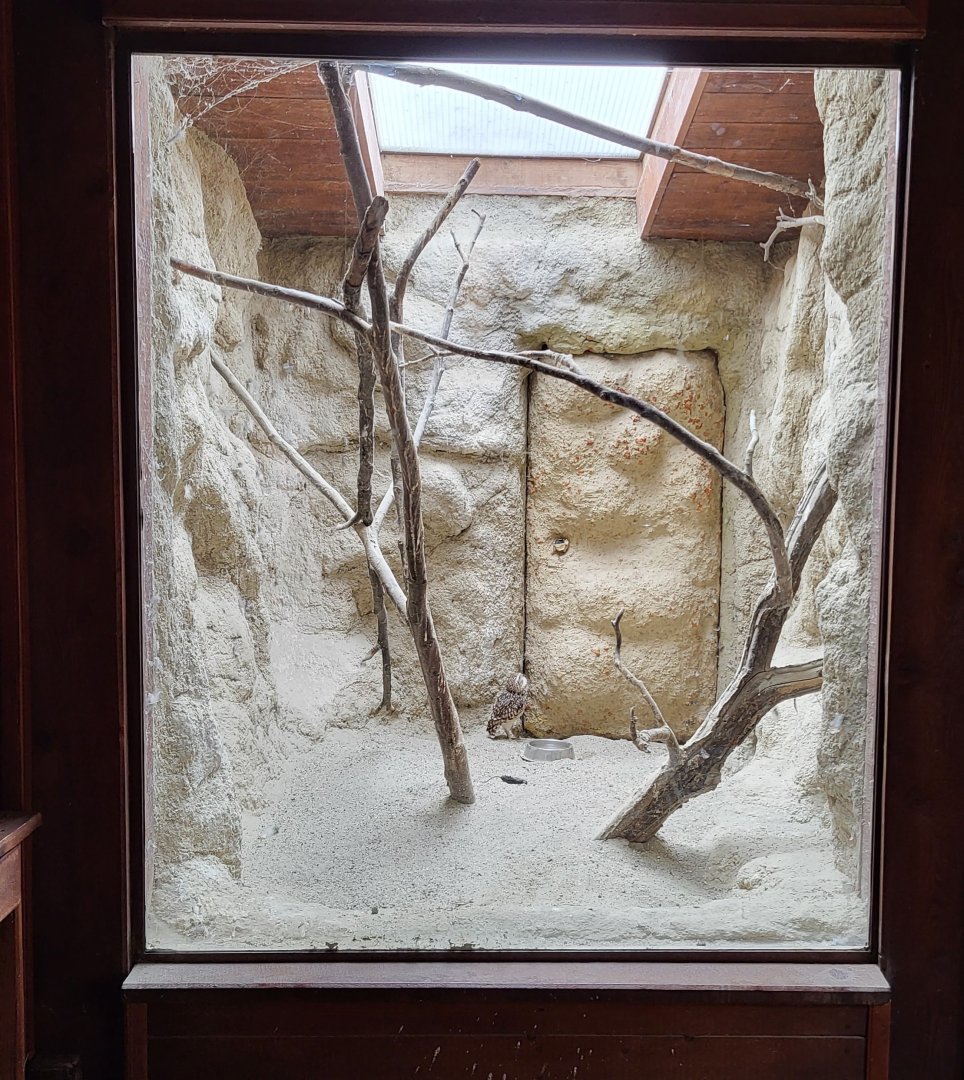 "Trapper's cabin" exhibit