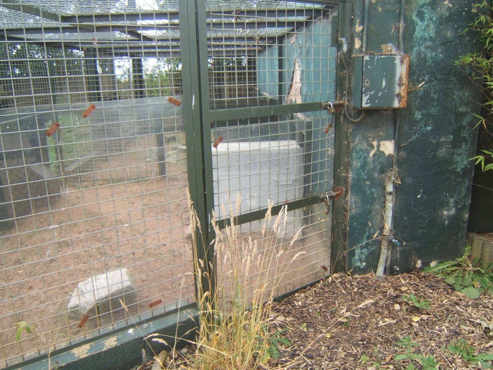 Travel crate in Striped Hyena enclosure