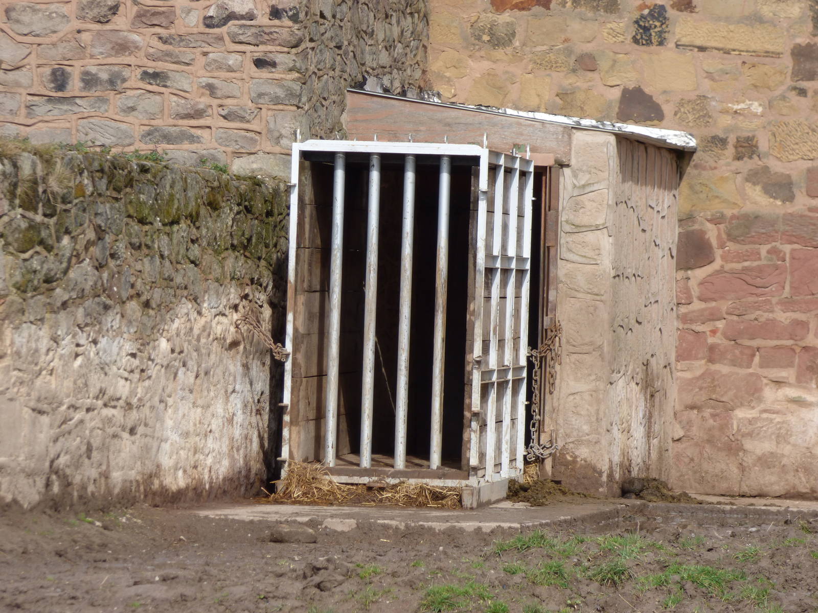 Travel crate outside black rhino house