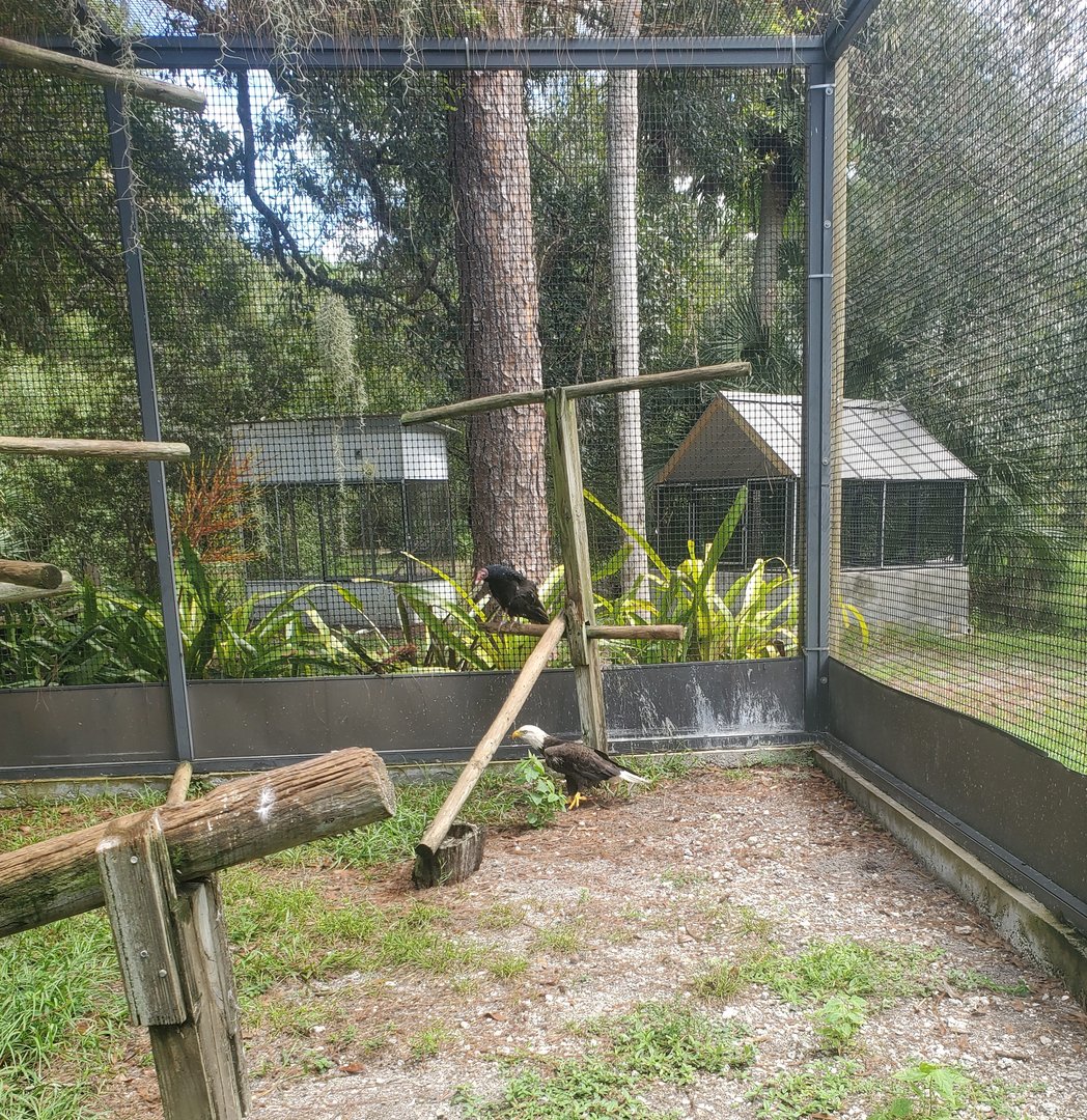 Treasure Coast Wildlife Center - Main bird enclosure