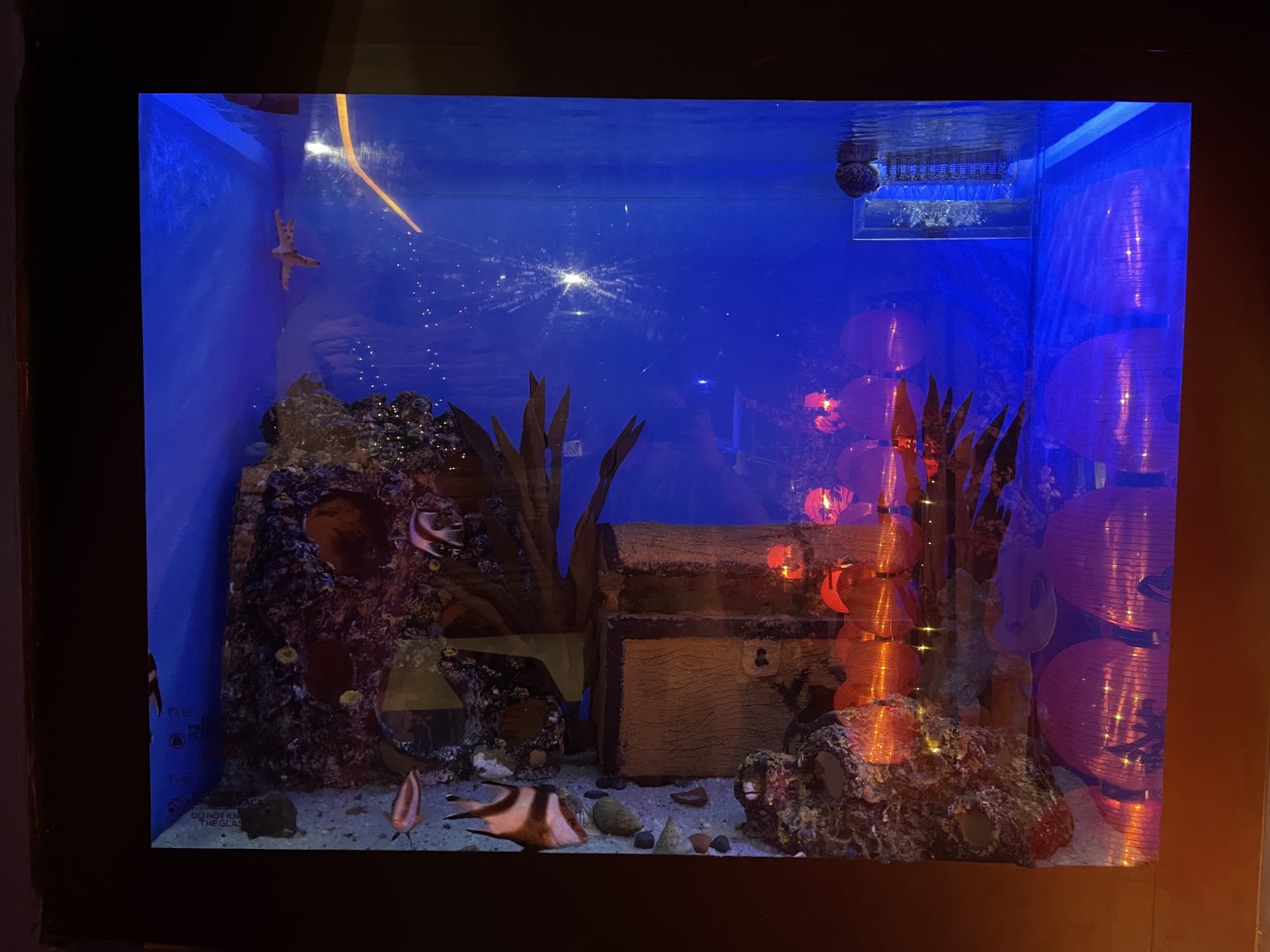 treasure-themed tank