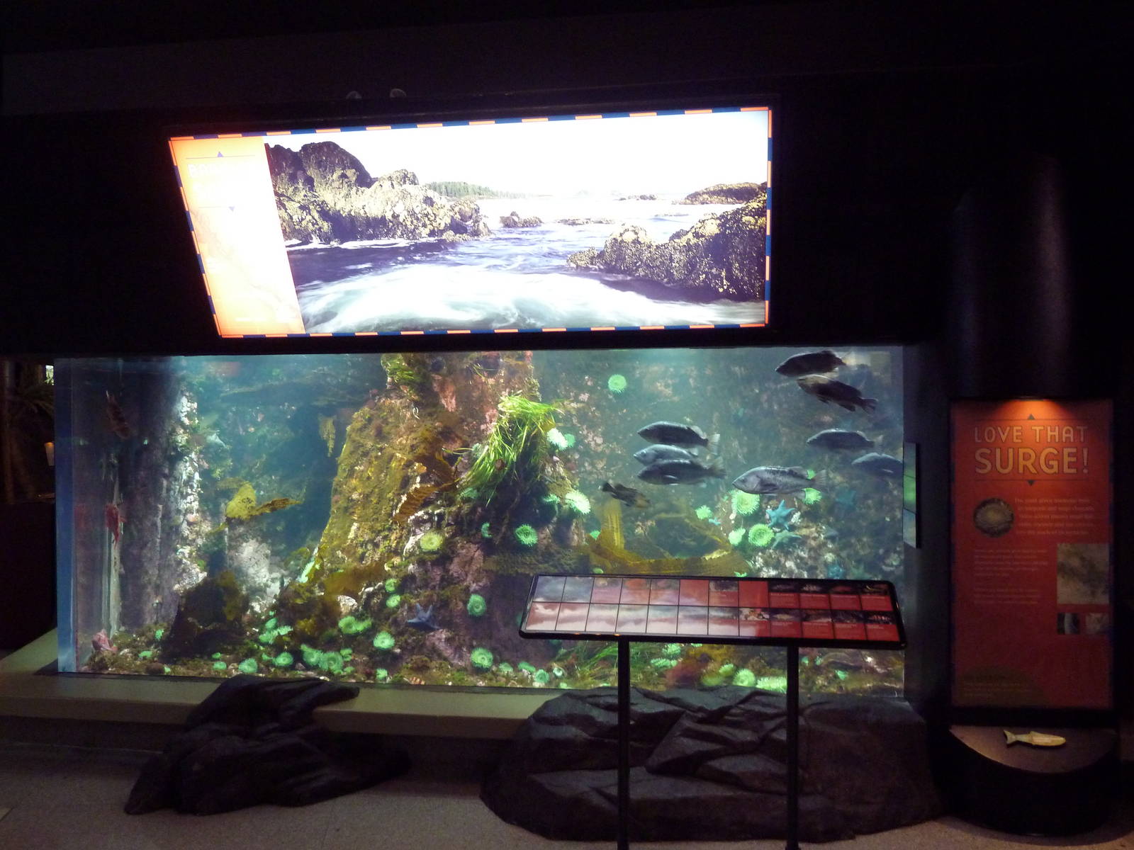 Treasures of the B.C. Coast Exhibit