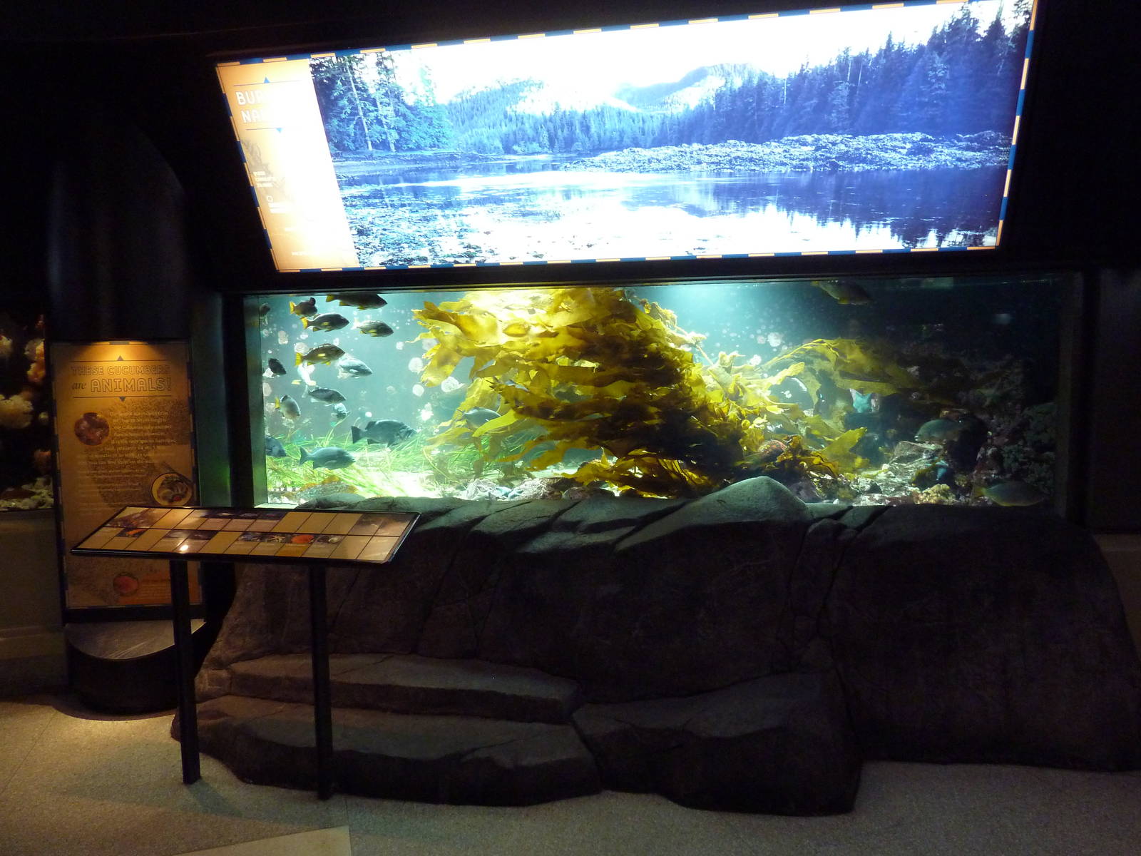 Treasures of the B.C. Coast Exhibit