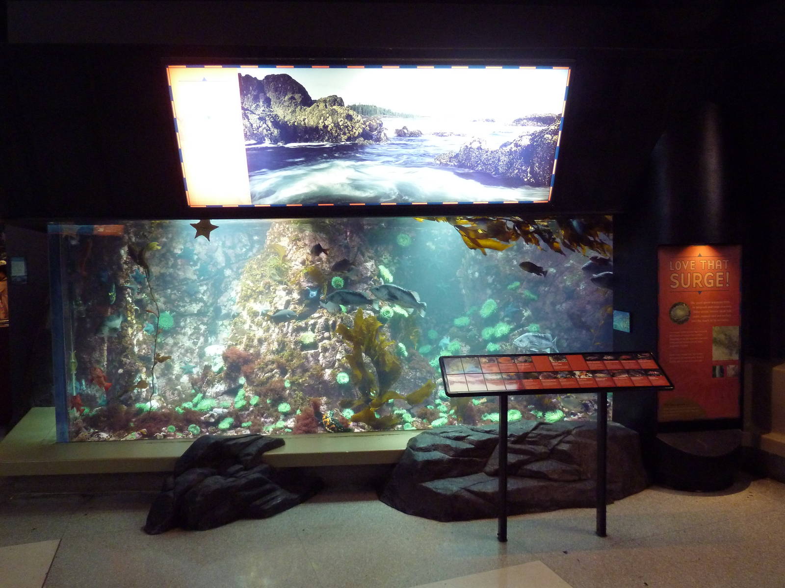 Treasures of the B.C. Coast Exhibit