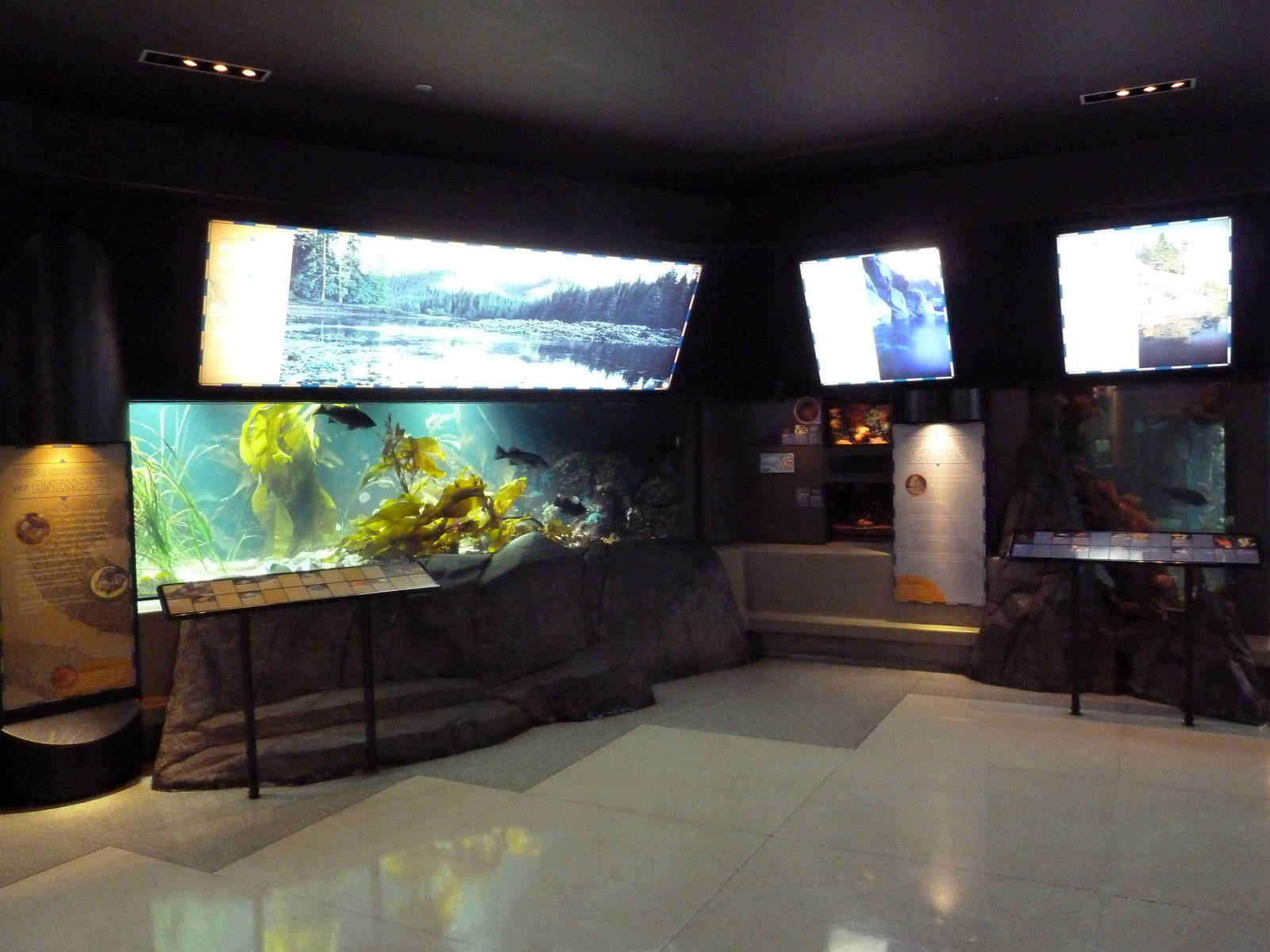 Treasures of the B.C. Coast Exhibits