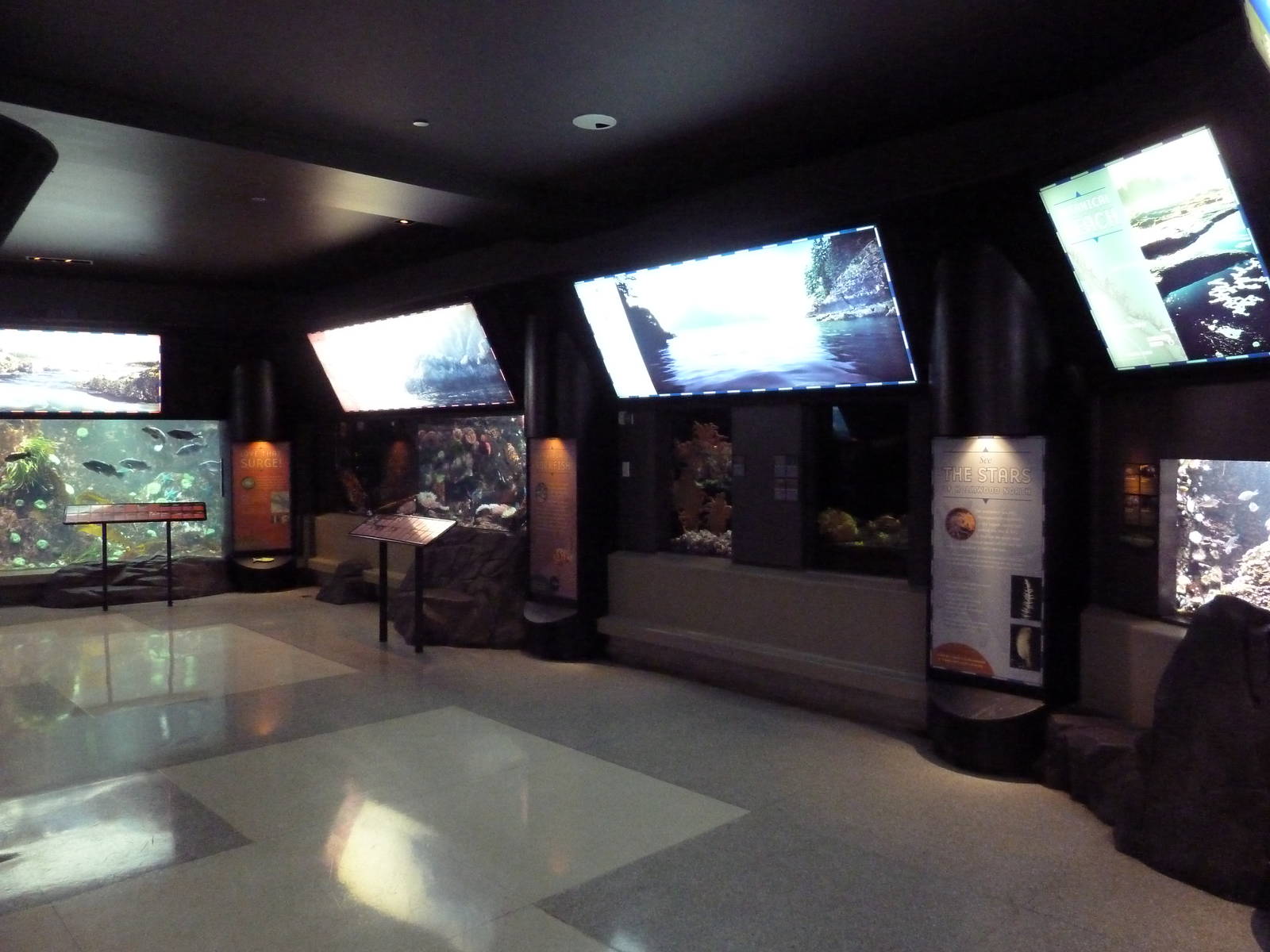 Treasures of the B.C. Coast Exhibits