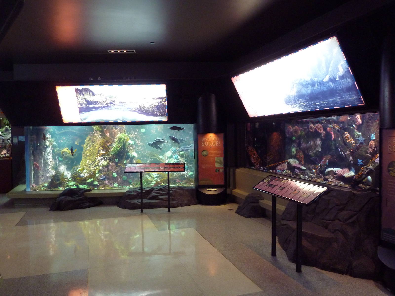 Treasures of the B.C. Coast Exhibits