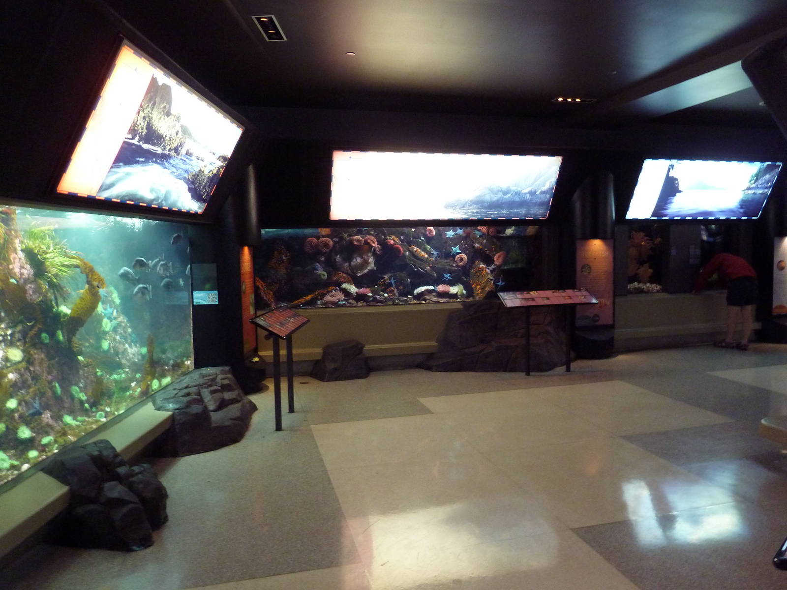 Treasures of the B.C. Coast Exhibits