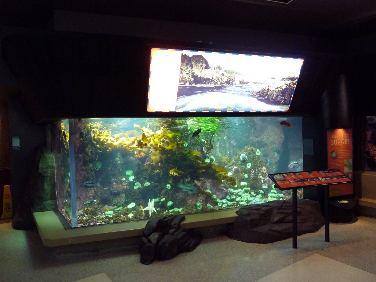 Treasures Of The B.C. Coast Gallery