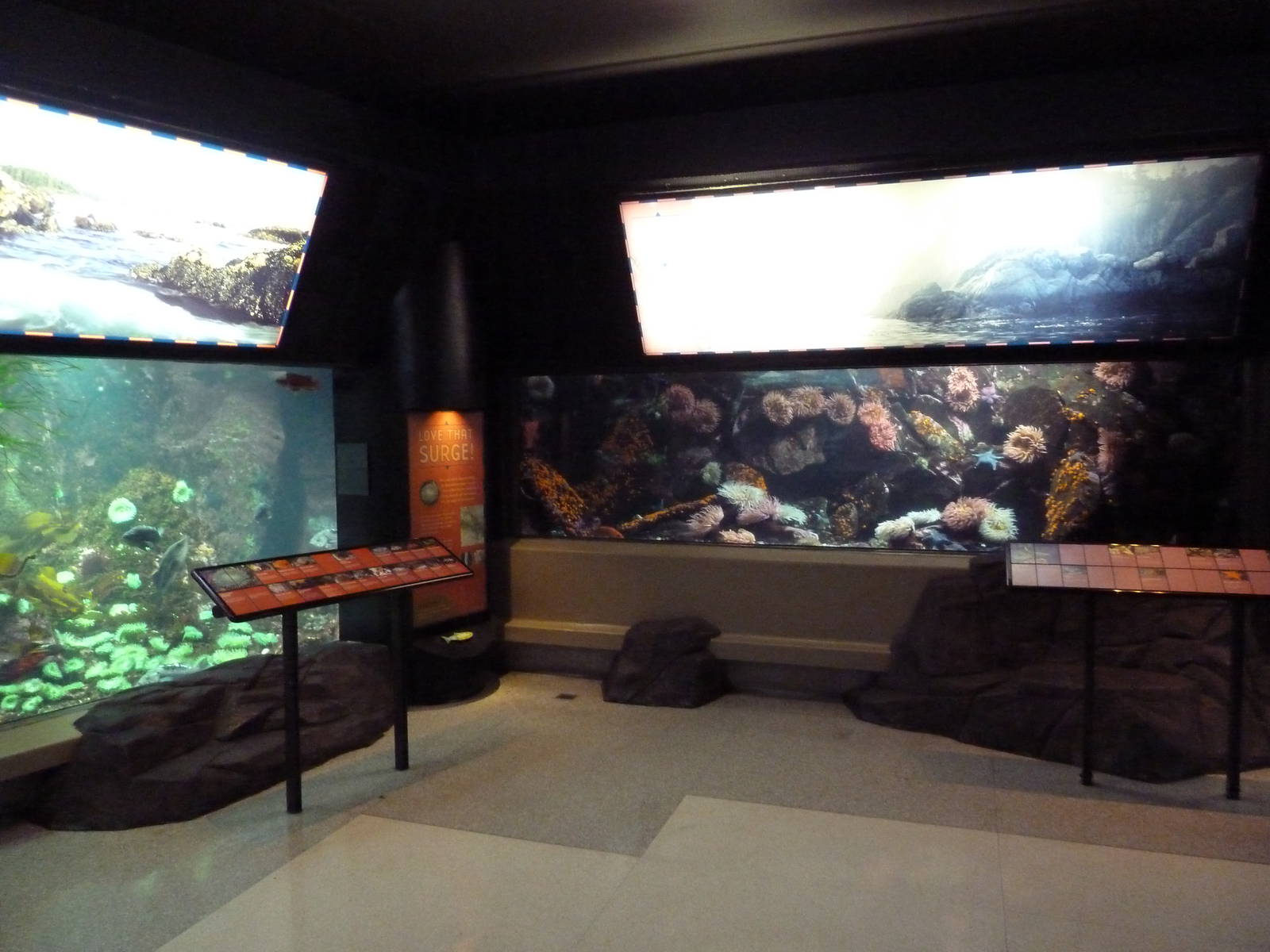 Treasures Of The B.C. Coast Gallery