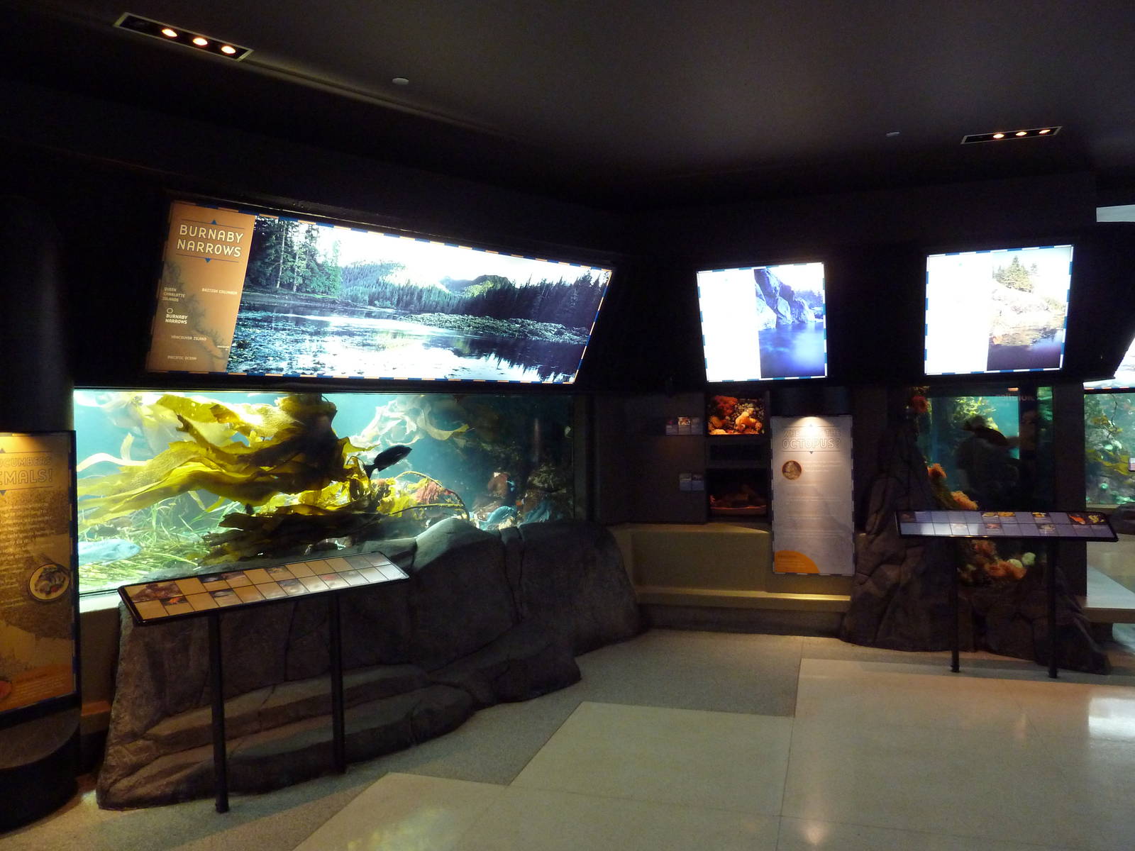 Treasures Of The B.C. Coast Gallery