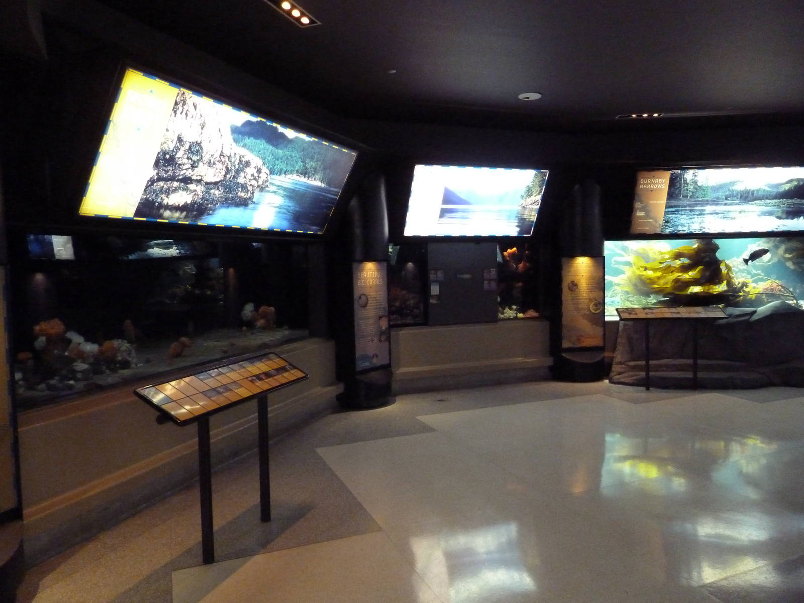 Treasures Of The B.C. Coast Gallery