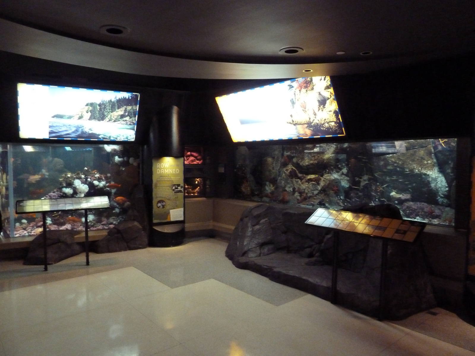 Treasures Of The B.C. Coast Gallery