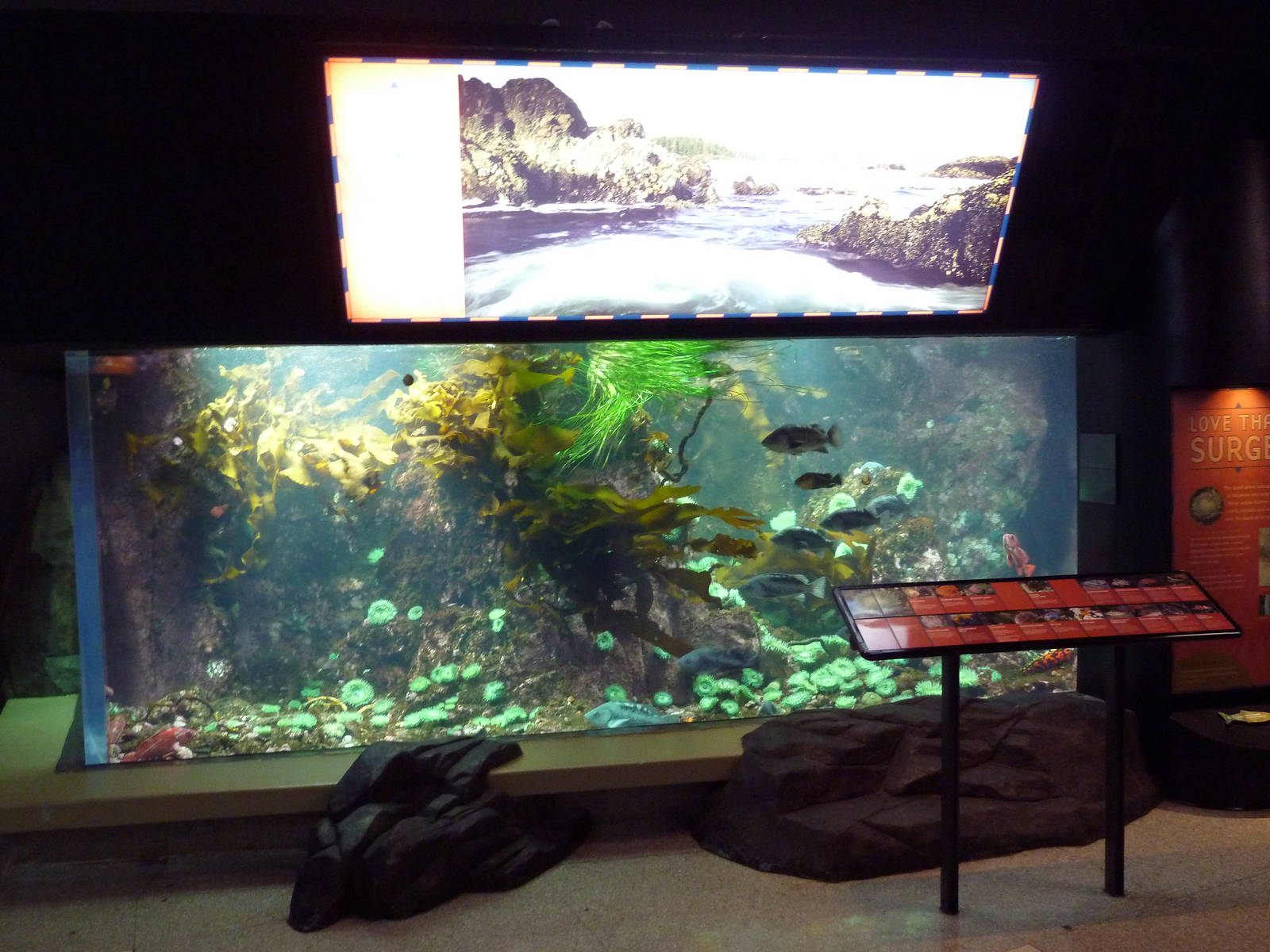 Treasures Of The B.C. Coast Gallery