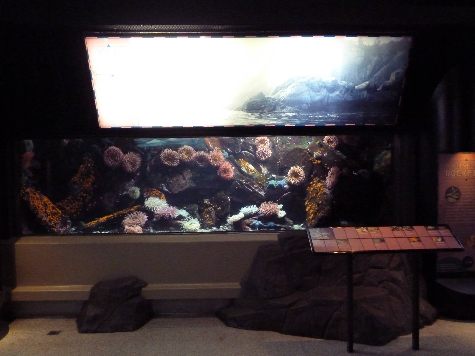 Treasures Of The B.C. Coast Gallery