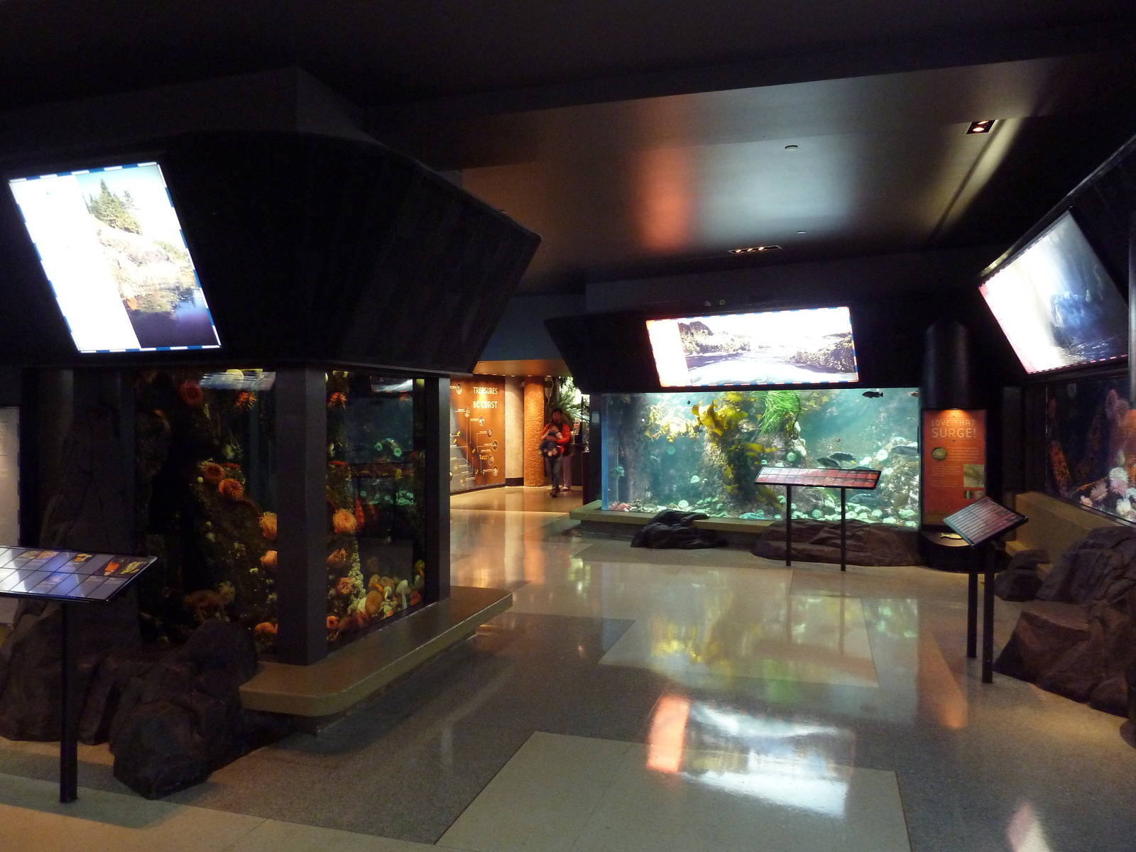 Treasures Of The B.C. Coast Gallery