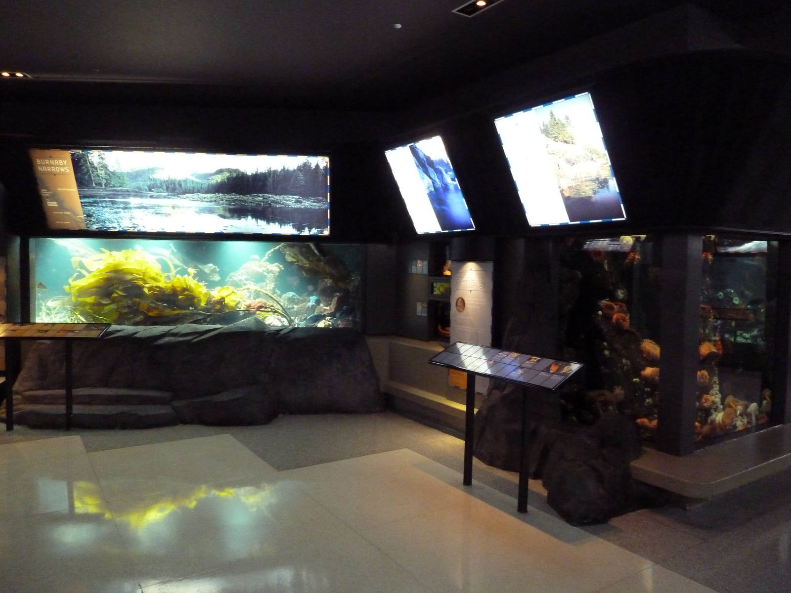 Treasures Of The B.C. Coast Gallery