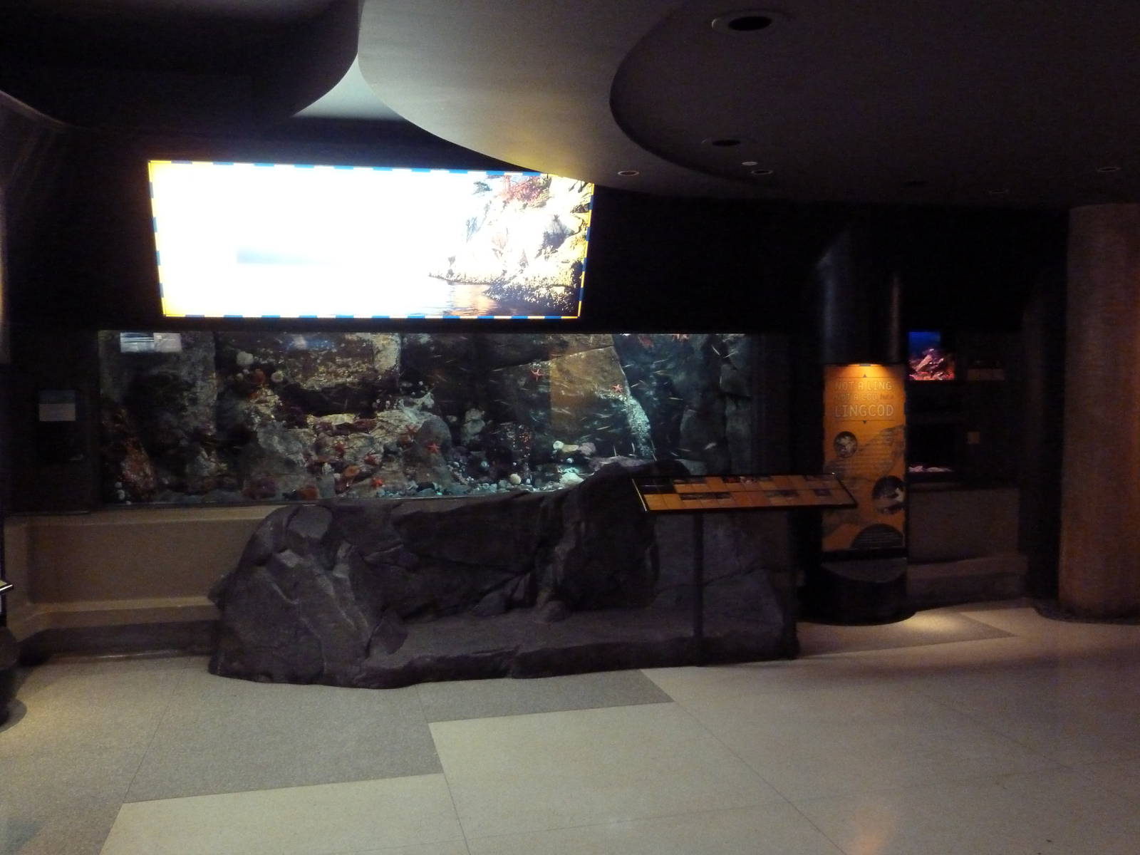 Treasures Of The B.C. Coast Gallery