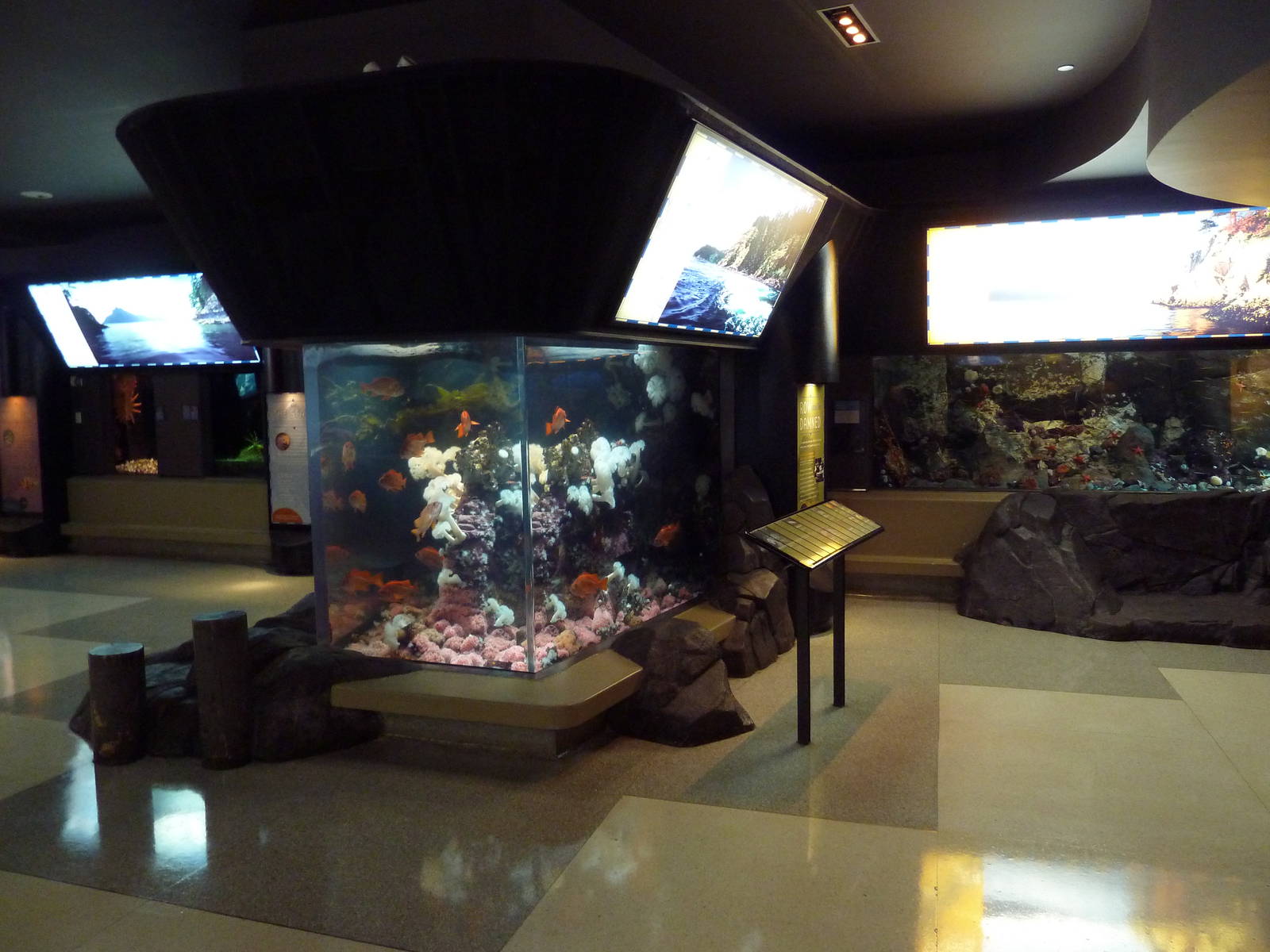 Treasures Of The B.C. Coast Gallery