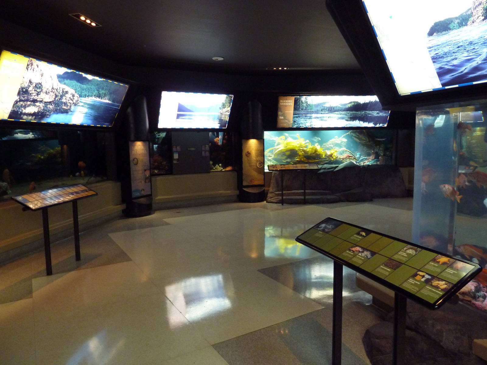 Treasures Of The B.C. Coast Gallery