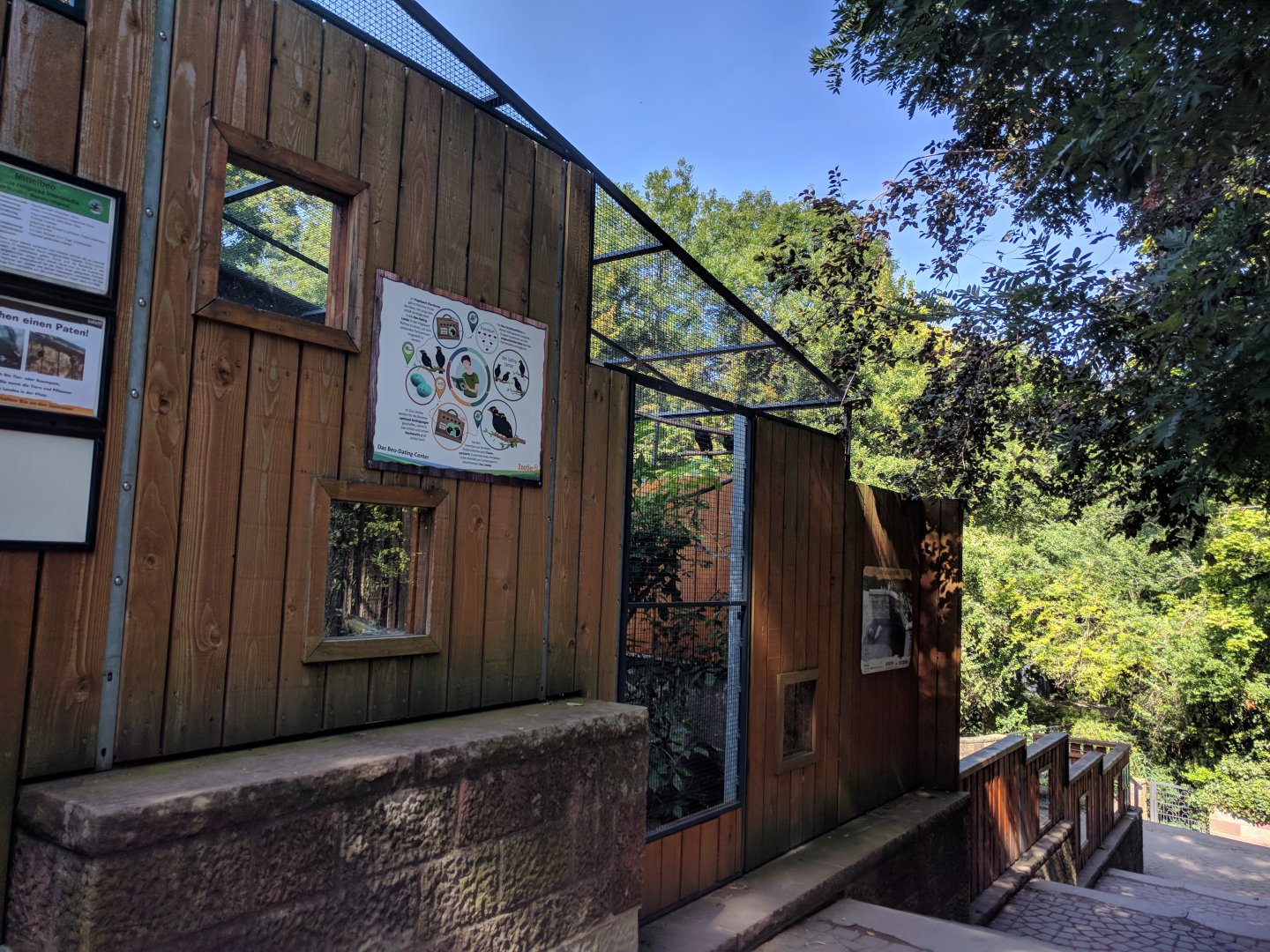 Treasures of the Phillipines Hill Mynah Enclosure