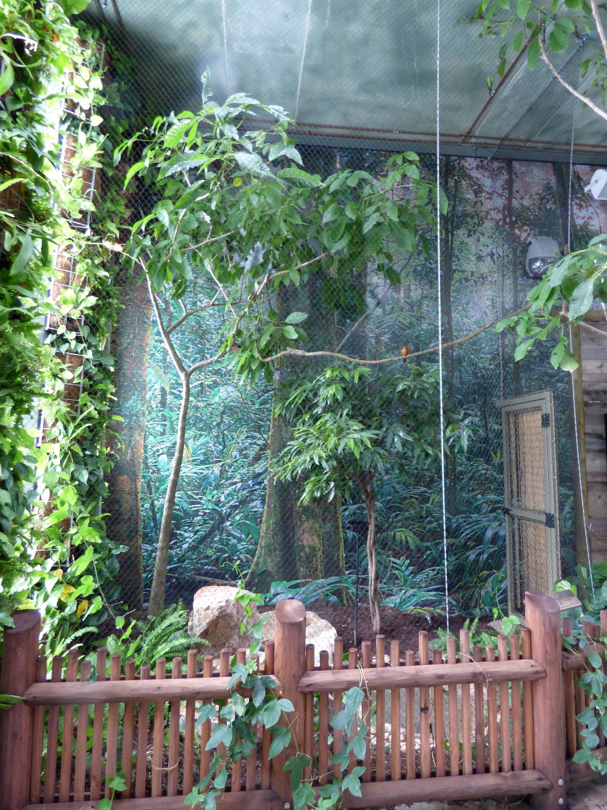 Treasures of the Rainforest - Guam Kingfisher Exhibit