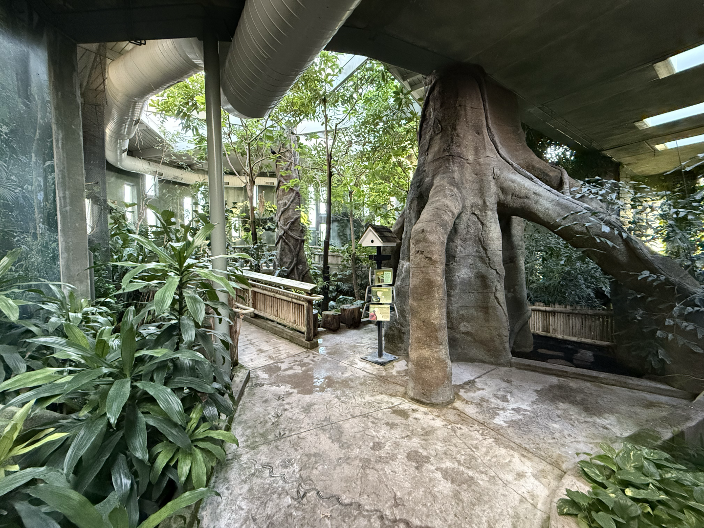 Treasures of the Rainforest (Indoors)