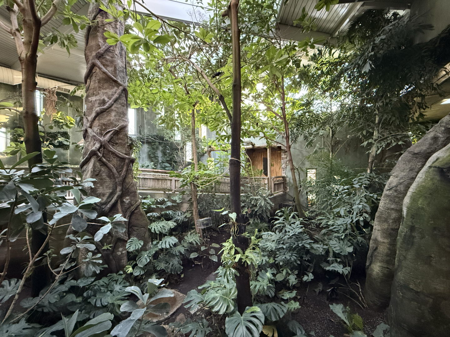 Treasures of the Rainforest (Indoors)