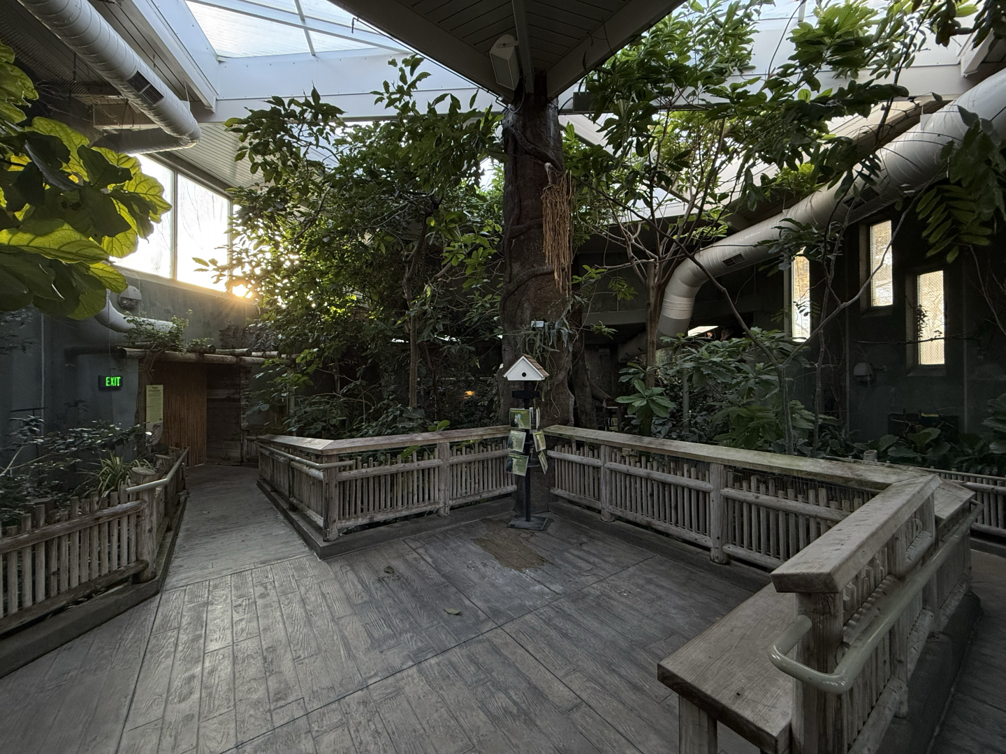 Treasures of the Rainforest (Indoors)