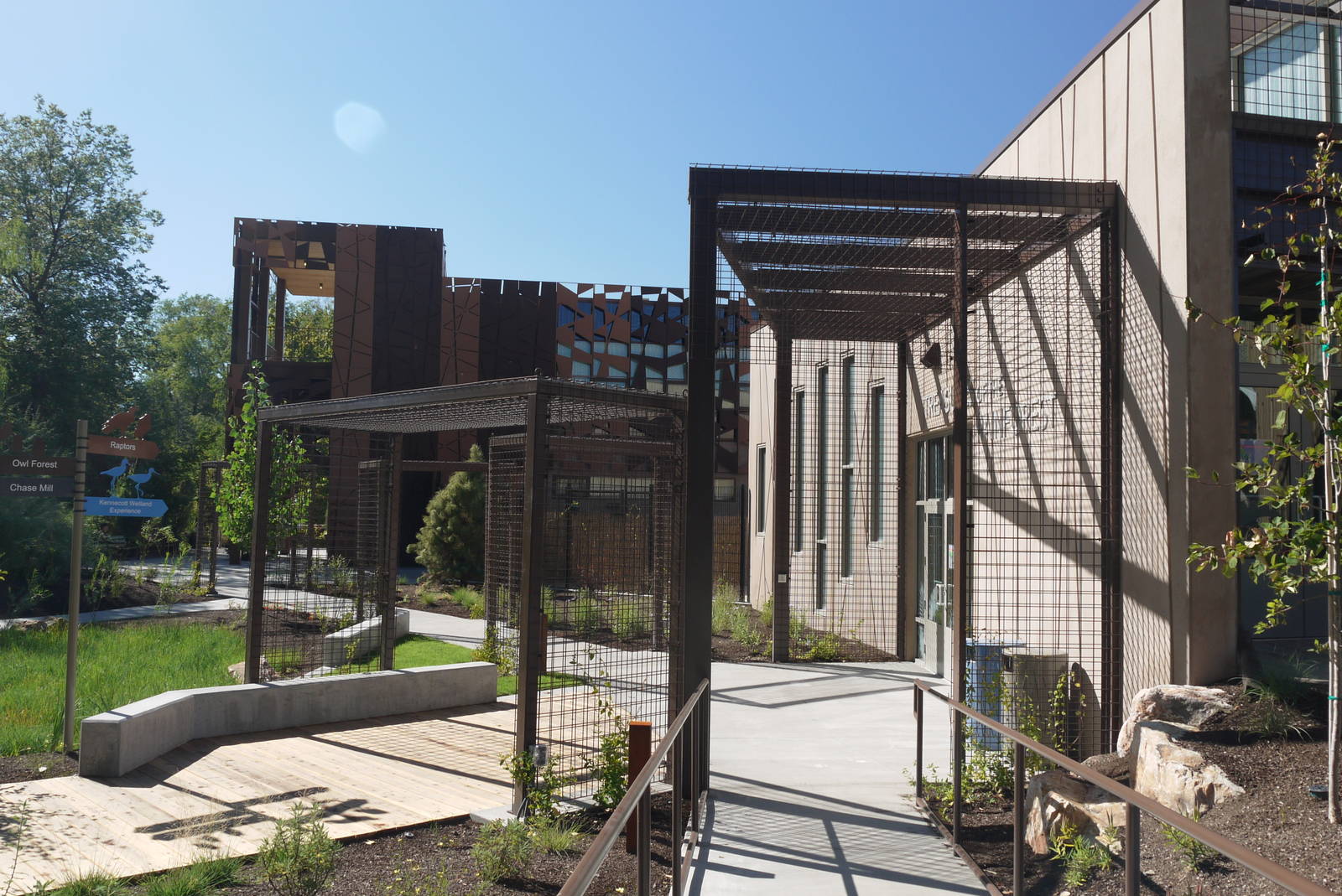 Treasures Of The Rainforest