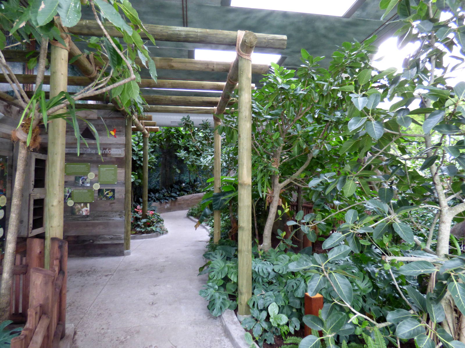 Treasures of the Rainforest