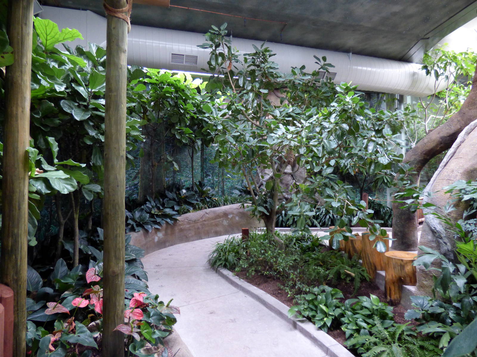 Treasures of the Rainforest