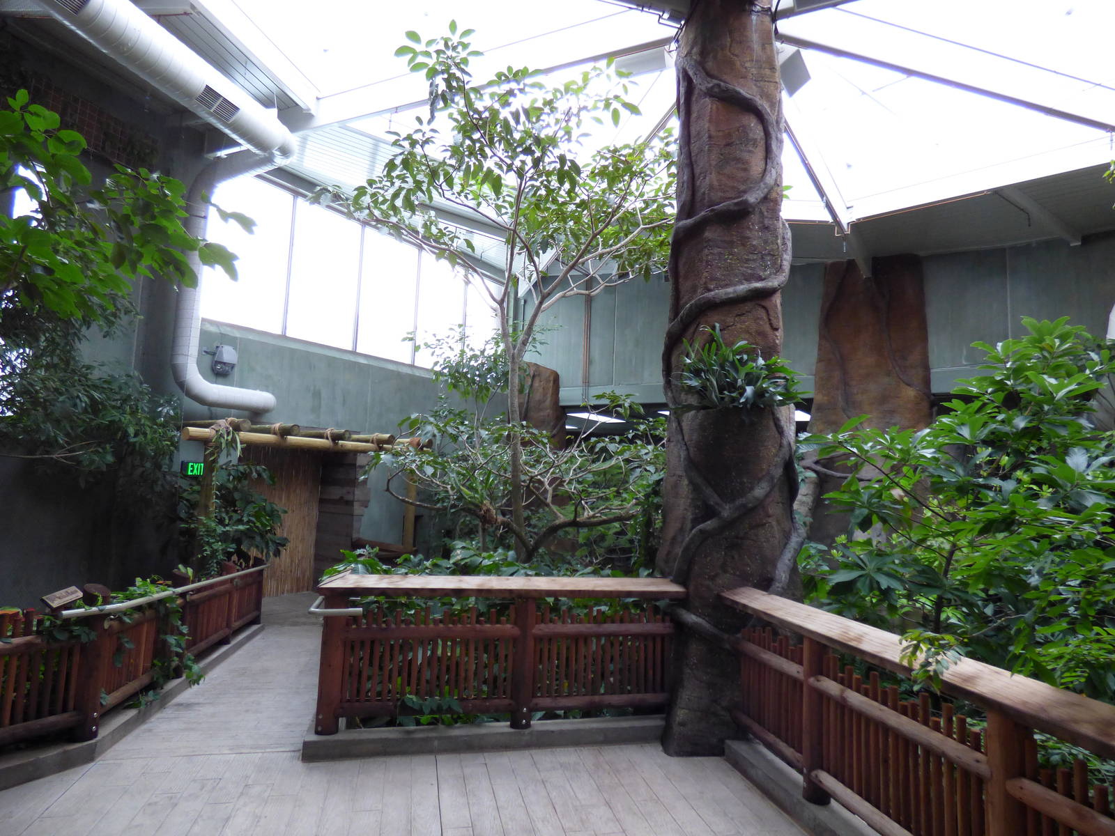 Treasures of the Rainforest