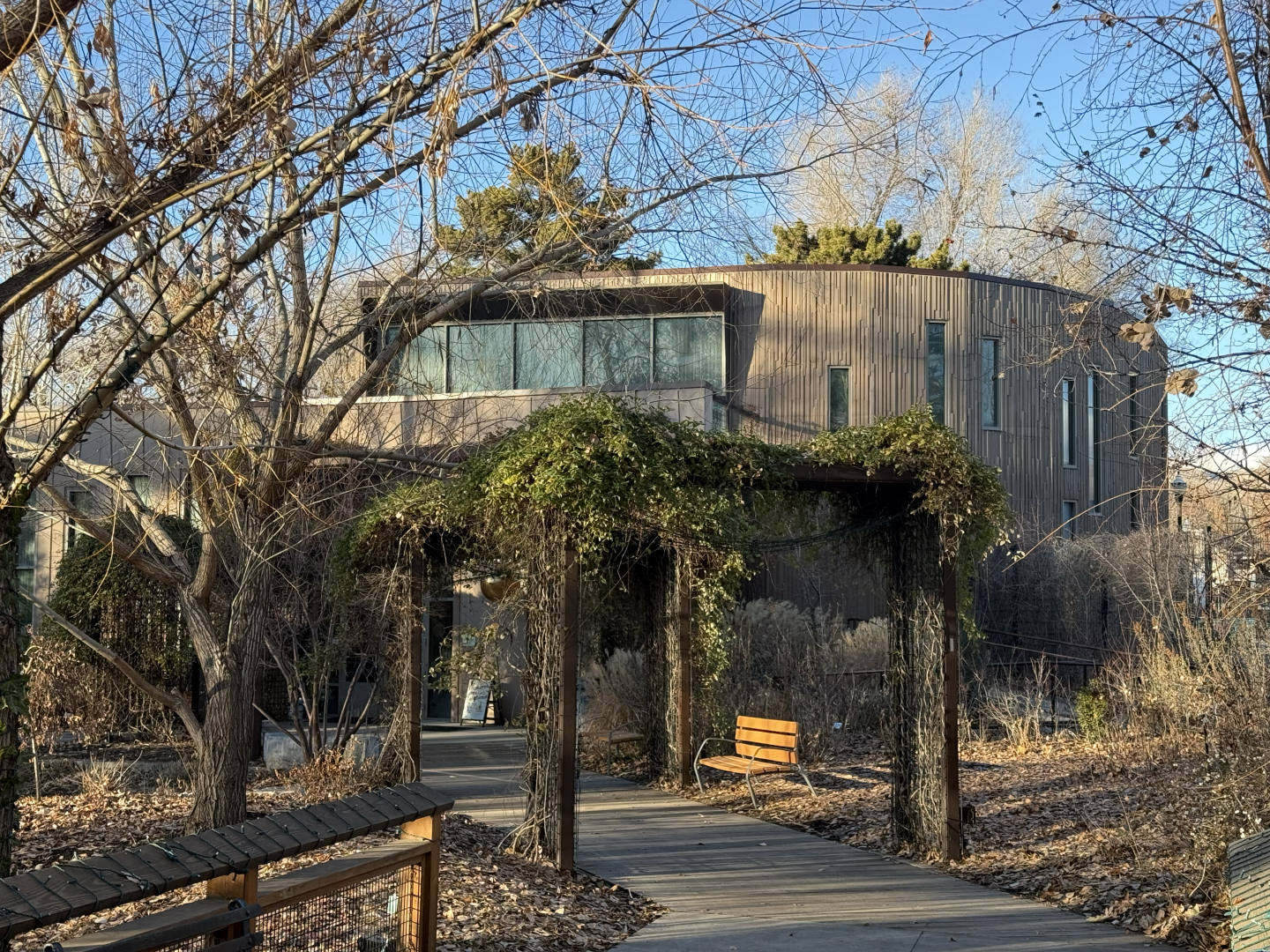 Treasures of the Rainforest