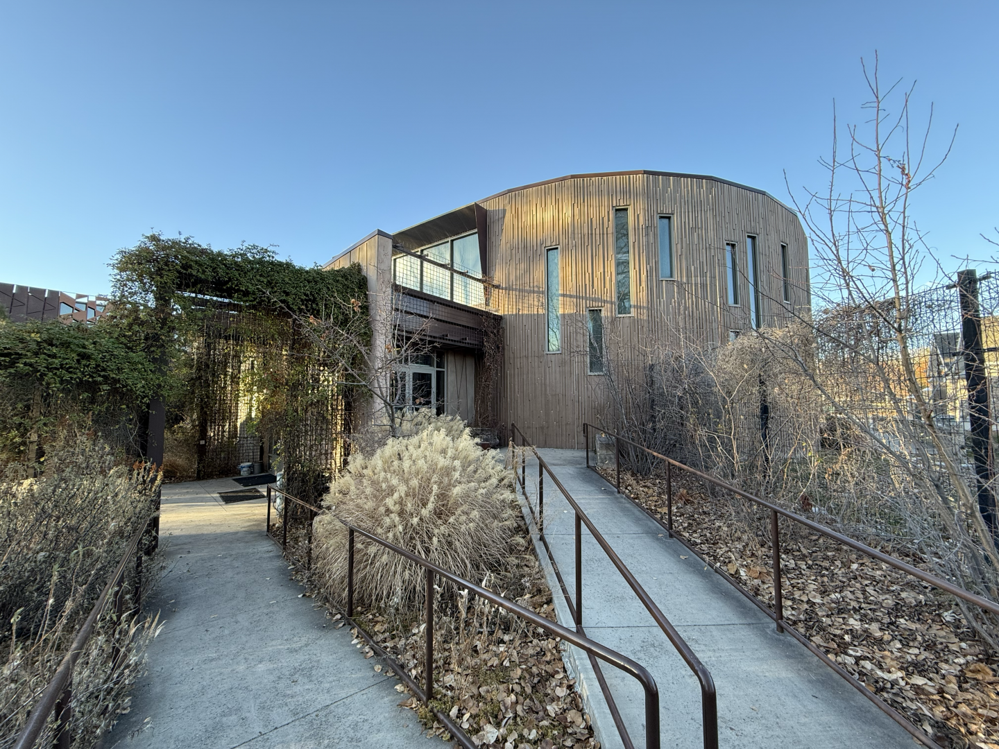 Treasures of the Rainforest