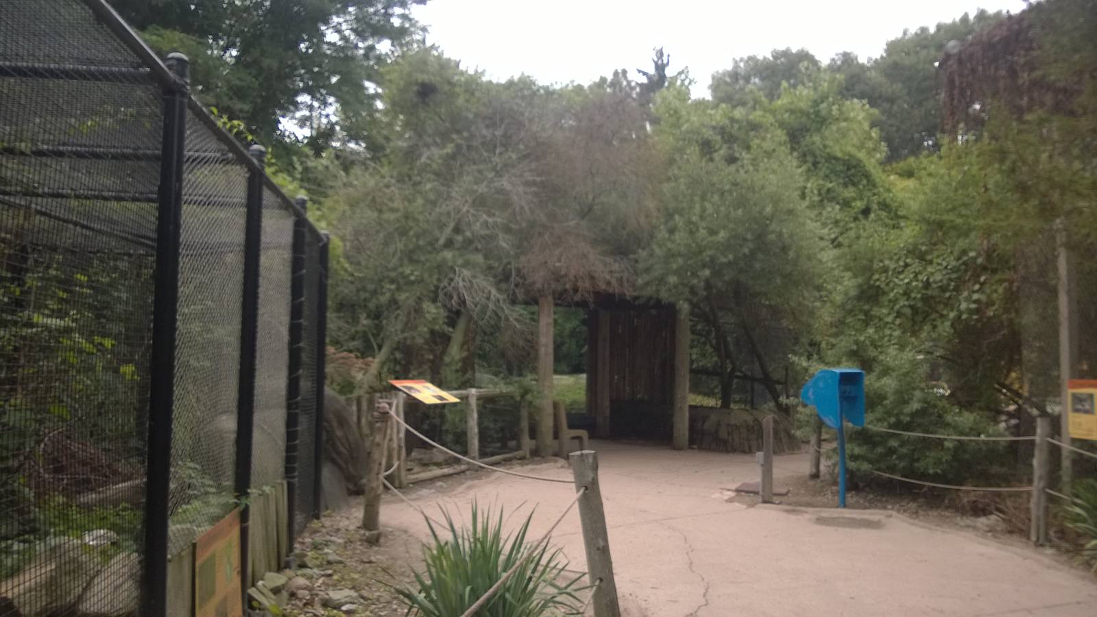 Treasures of the Sierra Madre