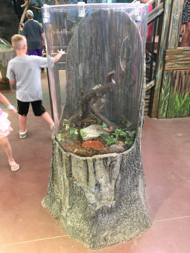 Tree Exhibit