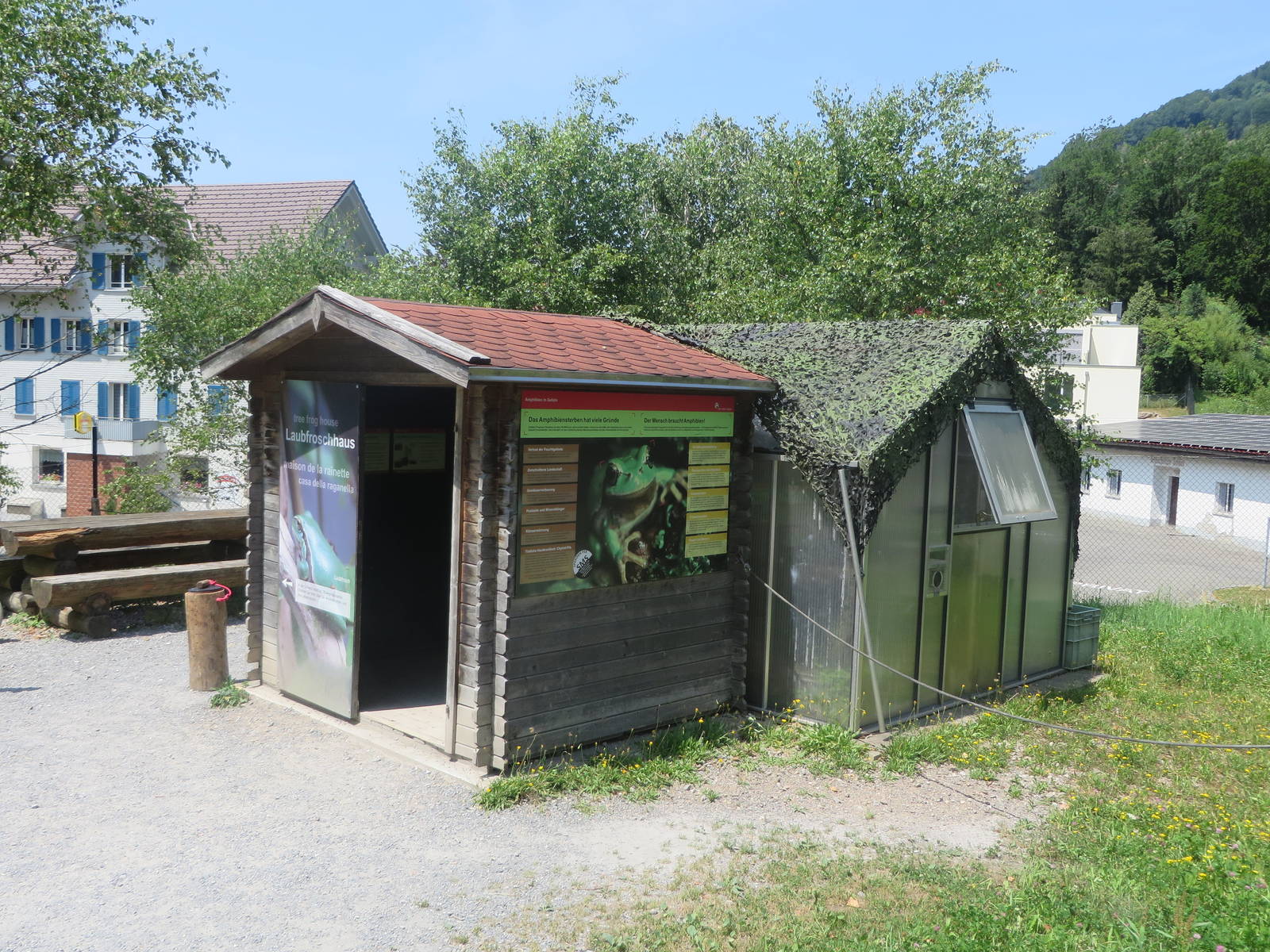 Tree frog breeding station