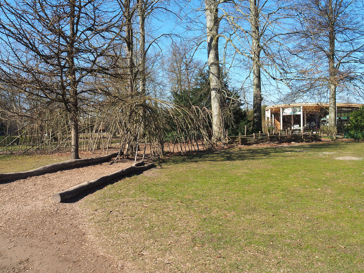 Tree grove and living willow tunnel near entrance, 2022-03-08