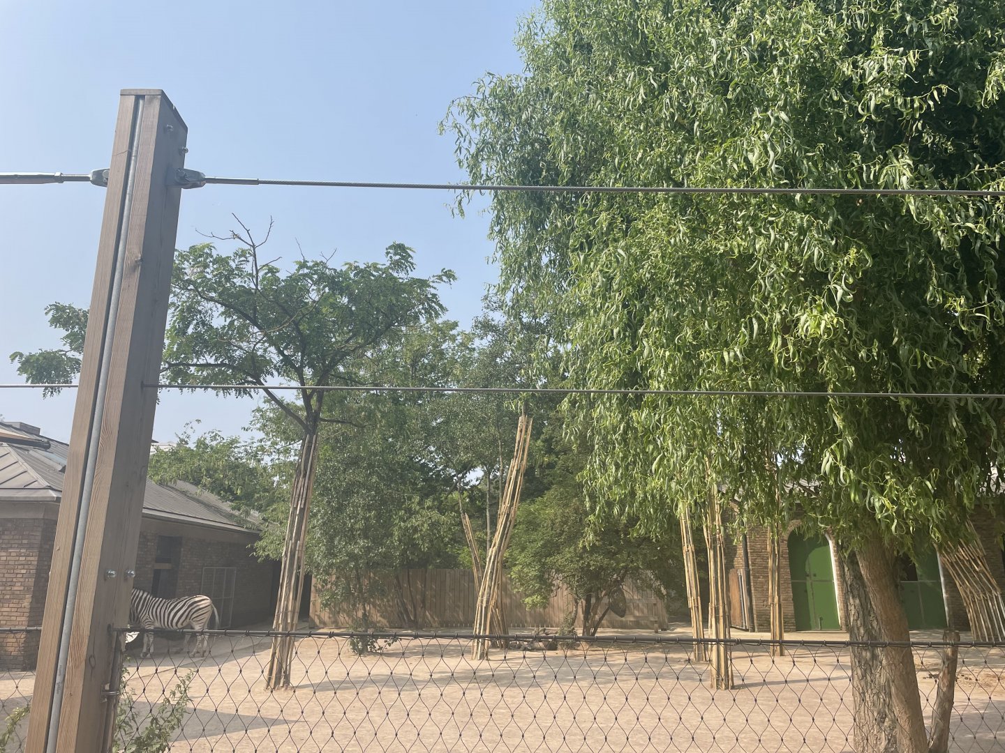 Tree Guards in Zebra Paddock