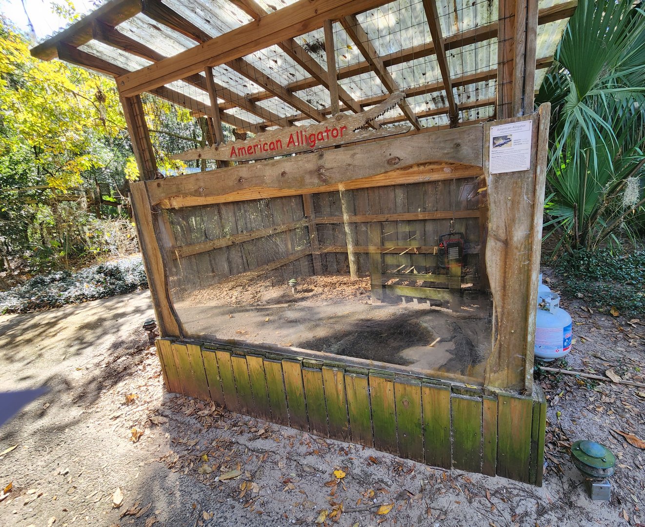 Tree Hill Nature Center - Alligator enclosure